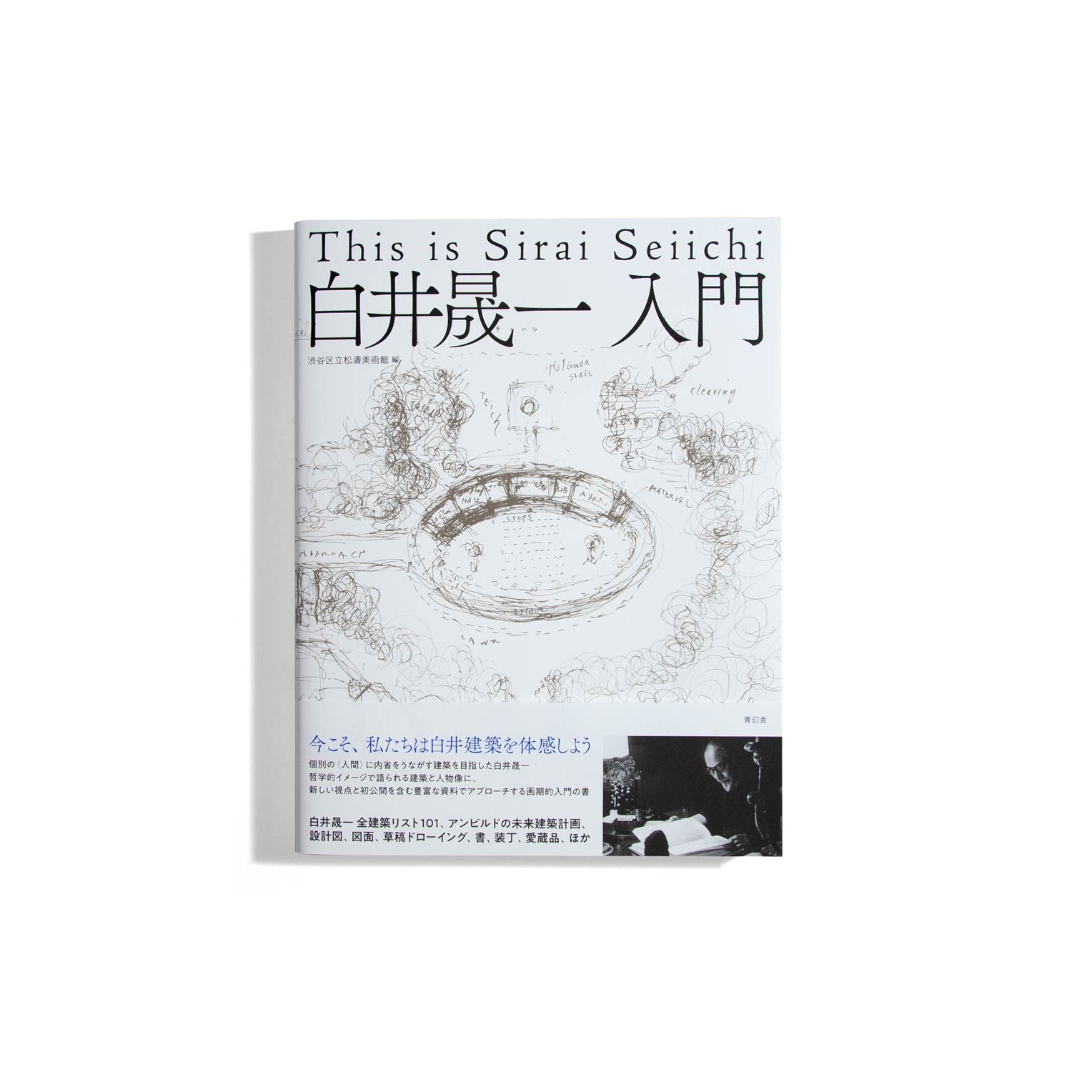 This is Sirai Seiichi – do you read me?!