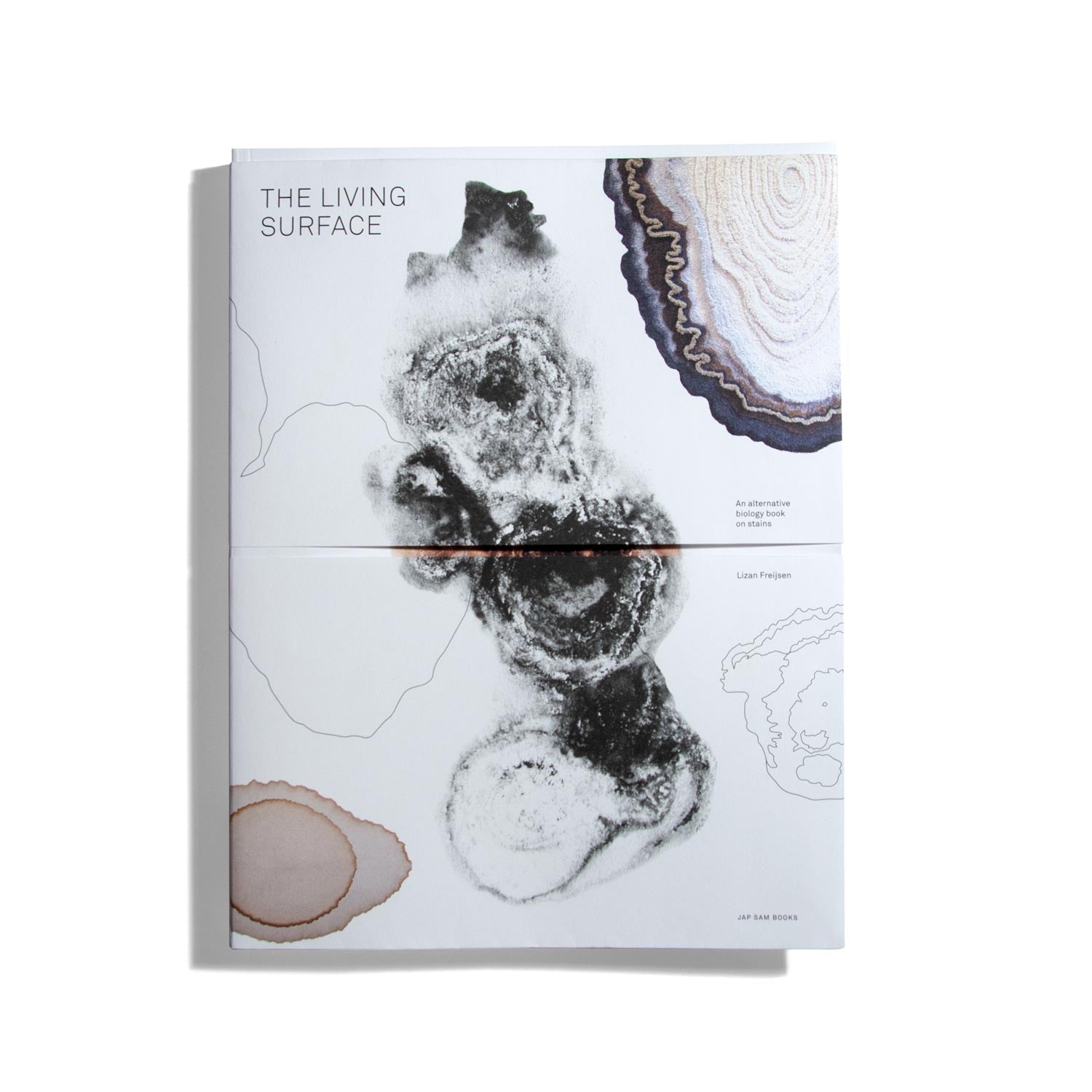 The Living Surface – do you read me?!