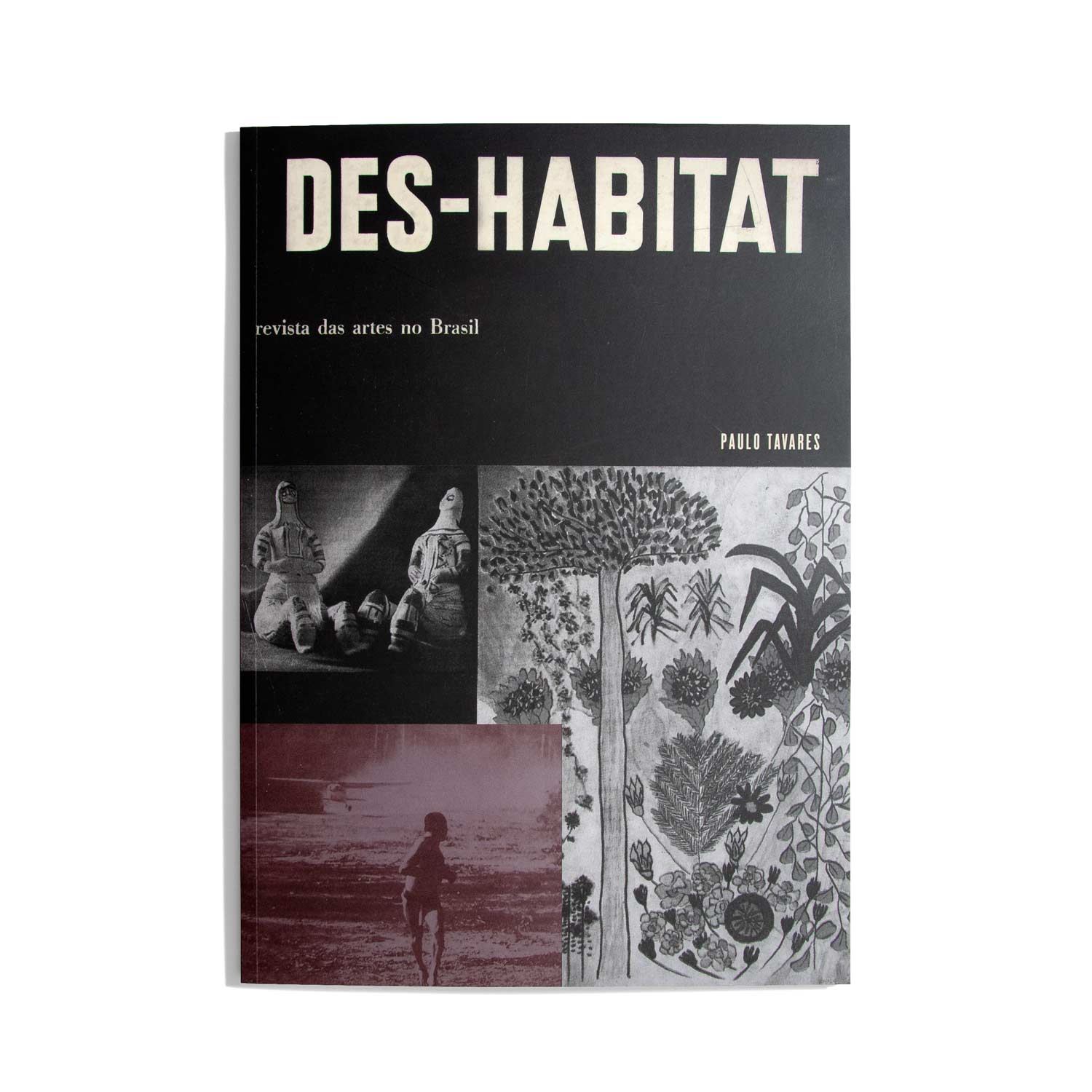 Des-Habitat - Paulo Tavares