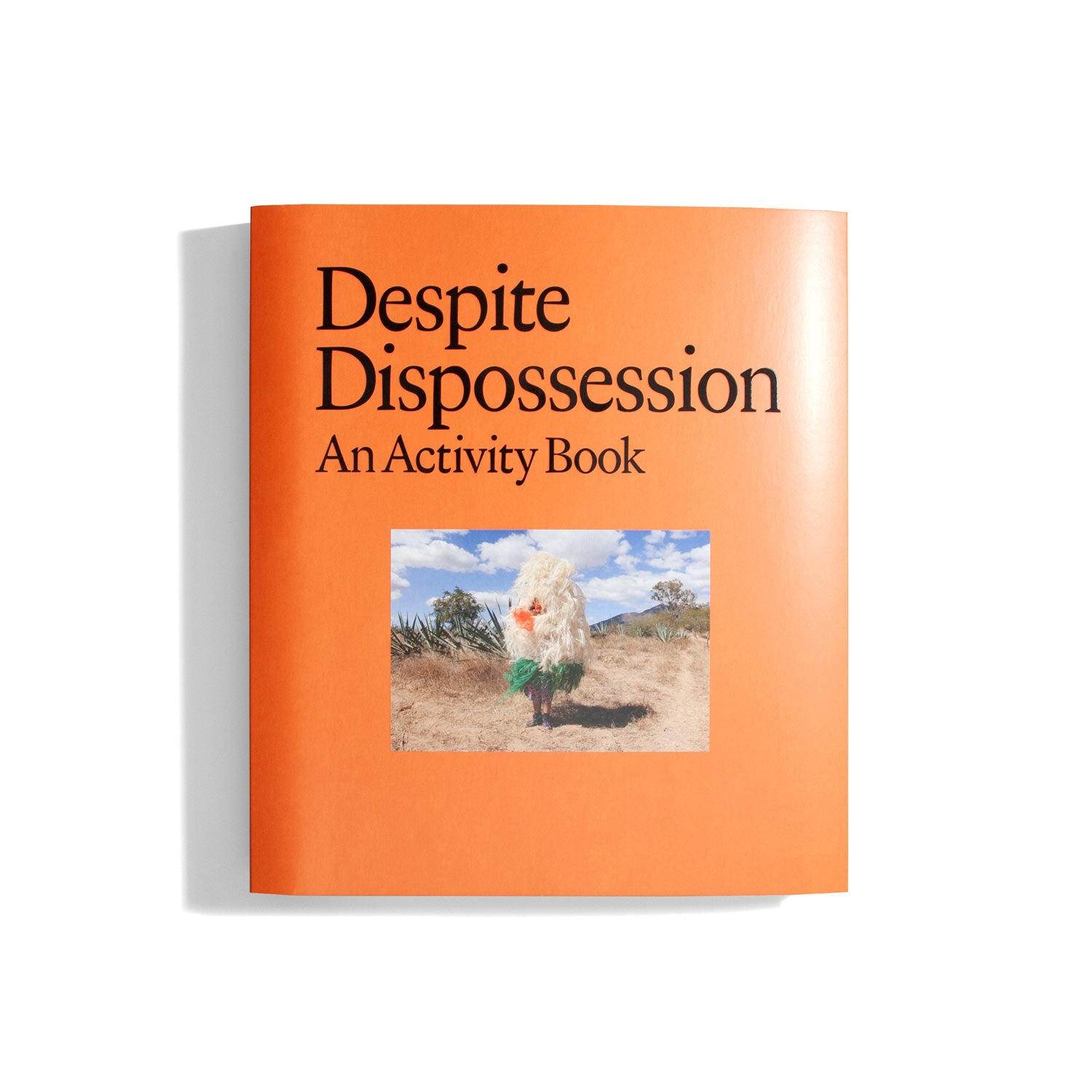 Despite Dispossession: An Activity Book