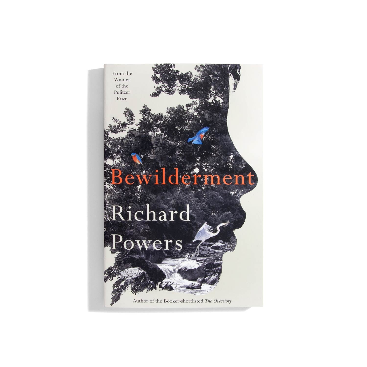 Bewilderment - Richard Powers