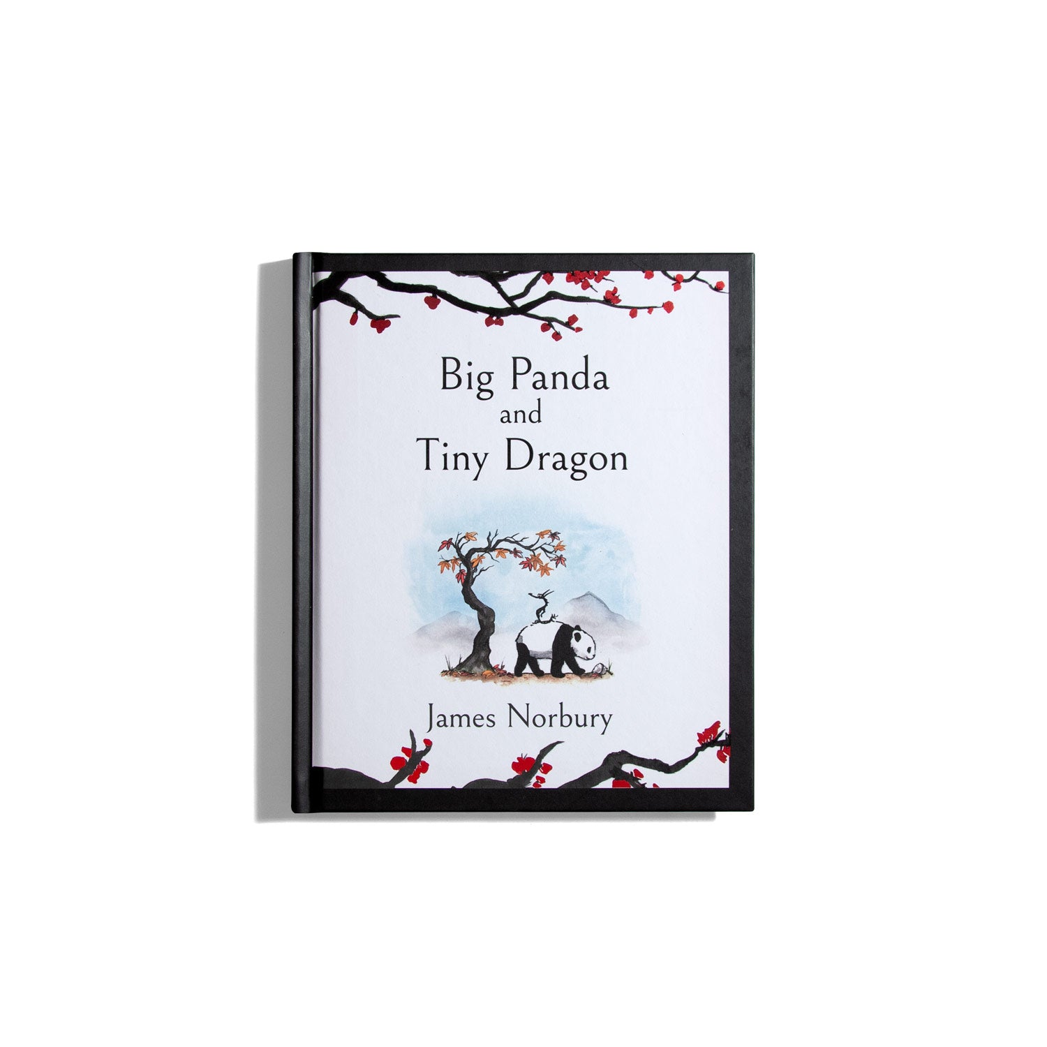 Big Panda and Tiny Dragon - James Norbury