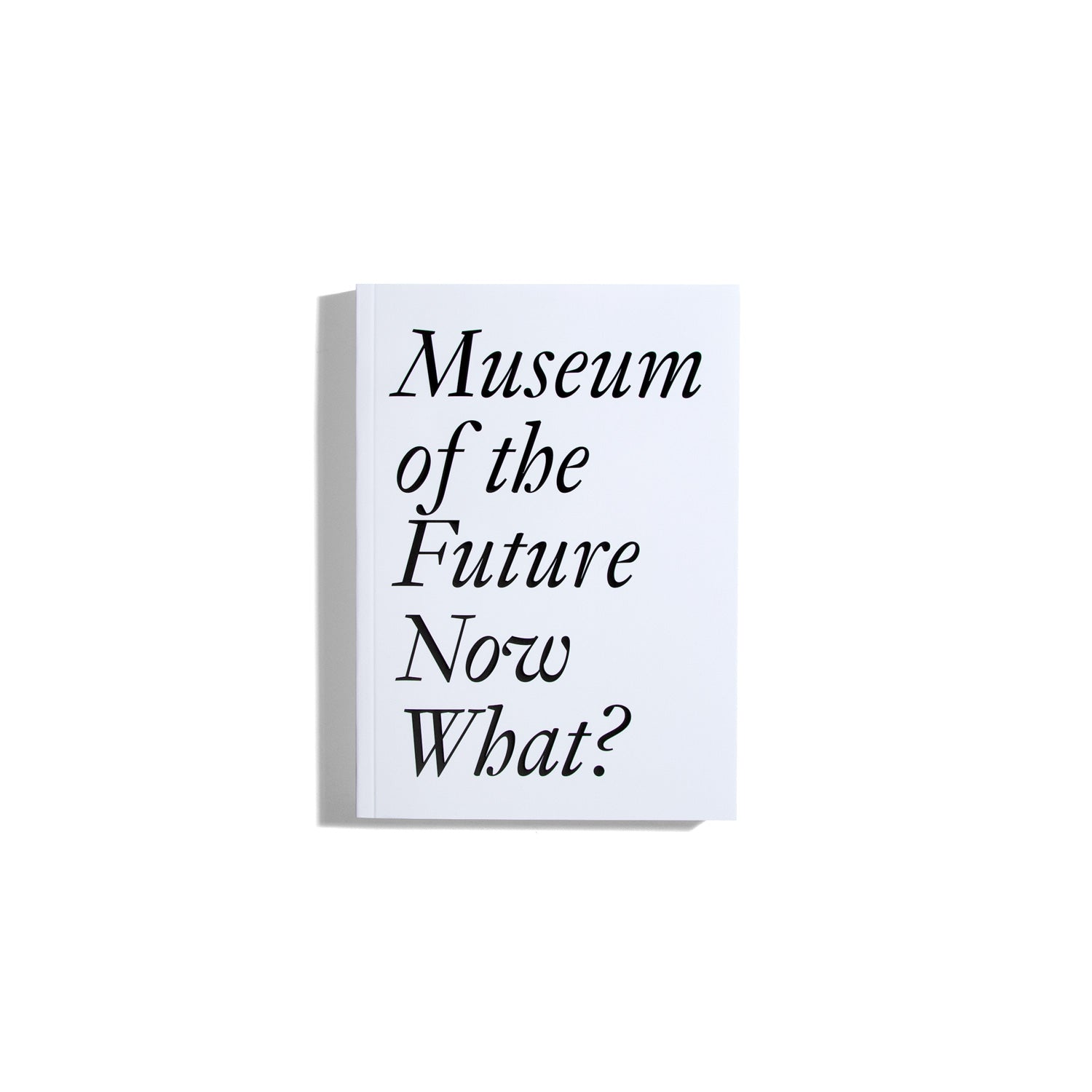 Museum of the Future: Now What?