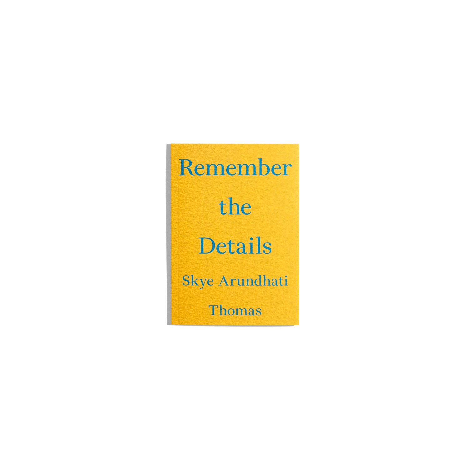 Remember the Details - Sky Arundhati Thomas