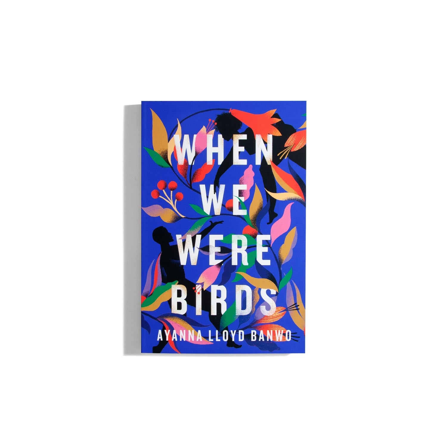 When We Were Birds