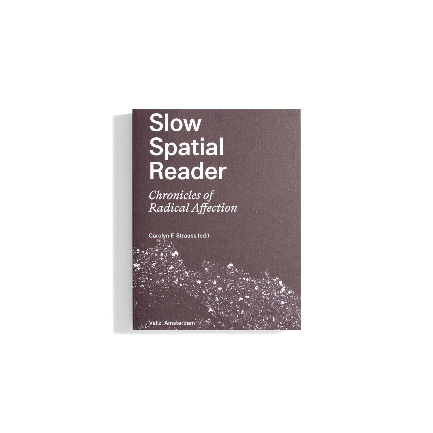 Slow Spatial Reader: Chronicles of Radical Affection