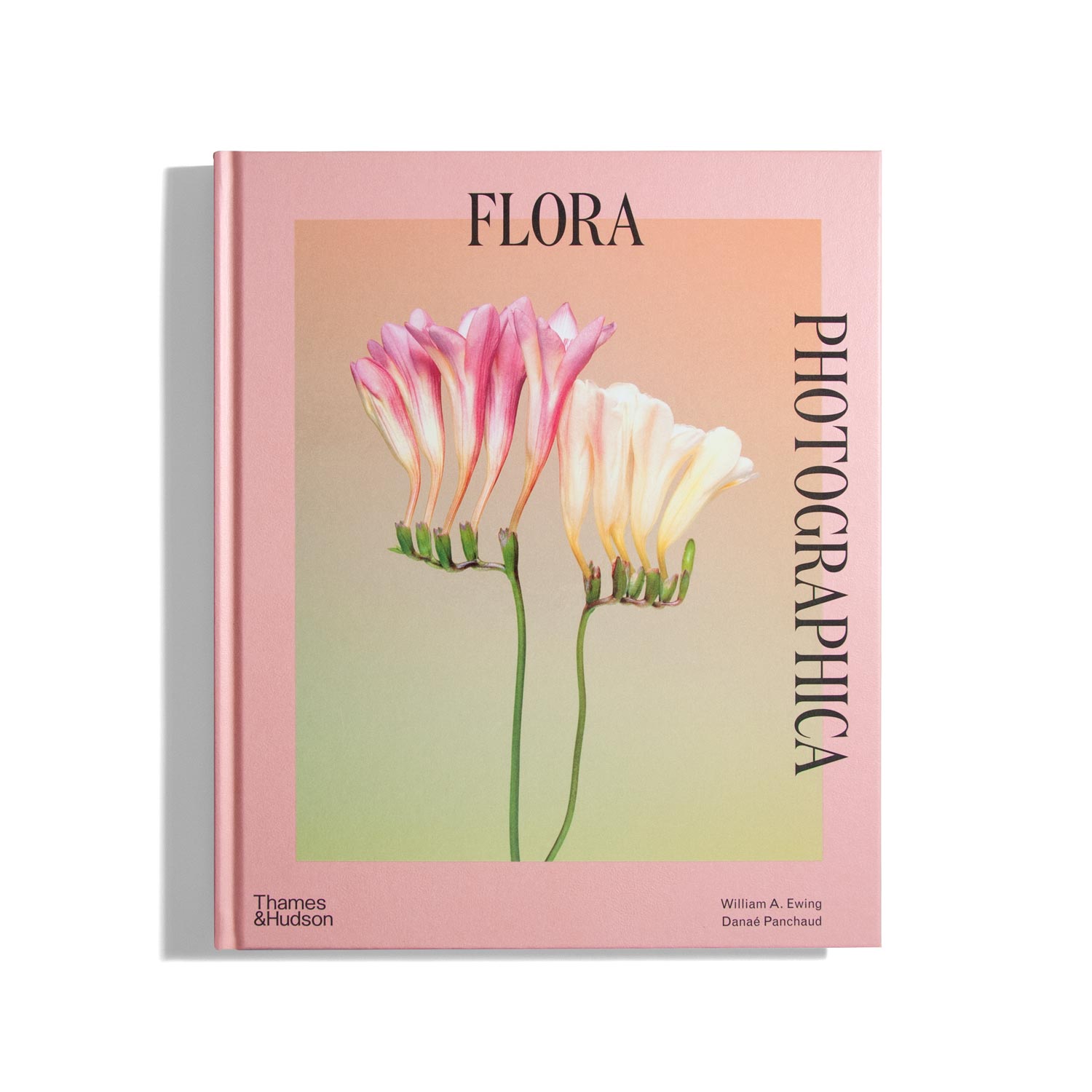 Flora Photographica