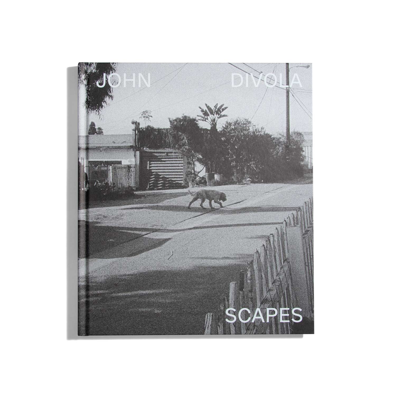 Scapes - John Divola