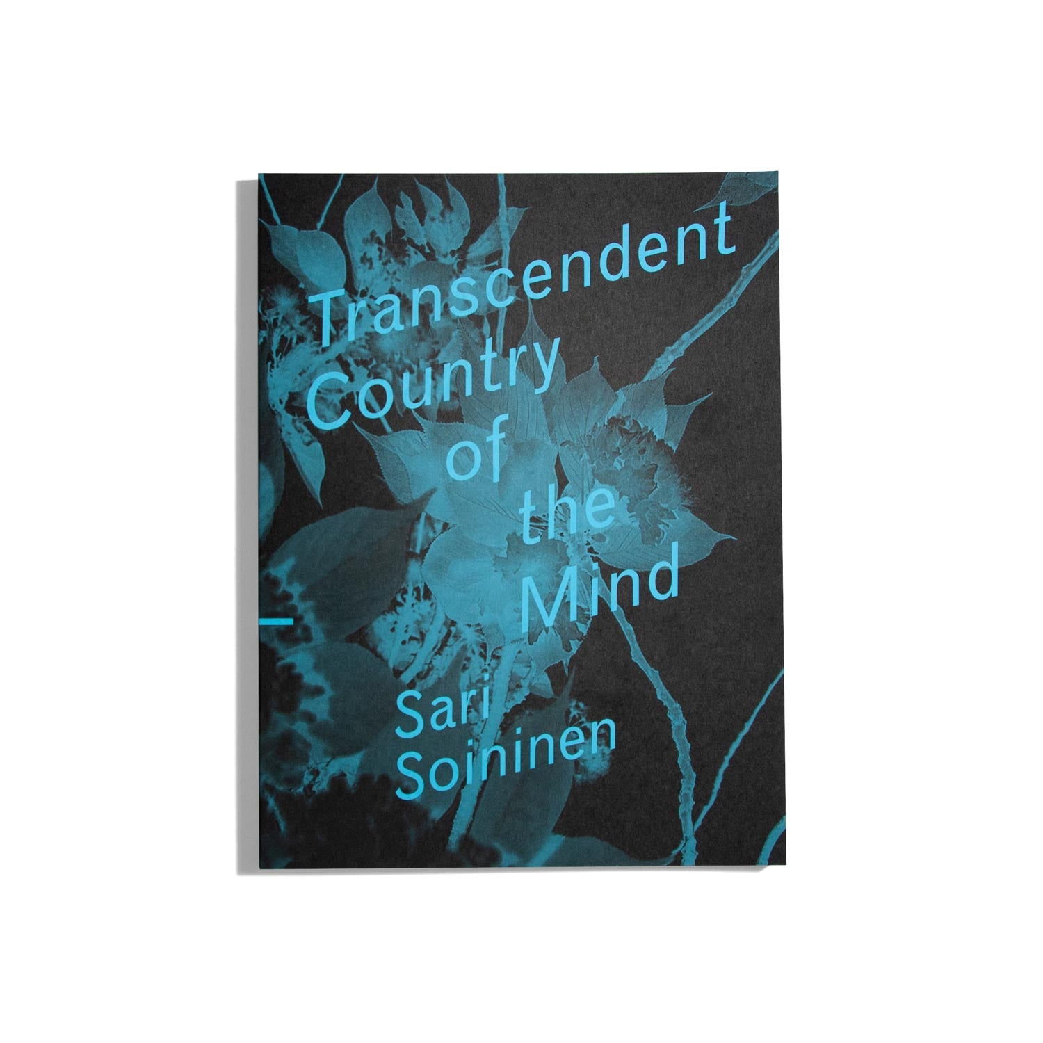 Transcendent Country of the Mind - Sari Soininen