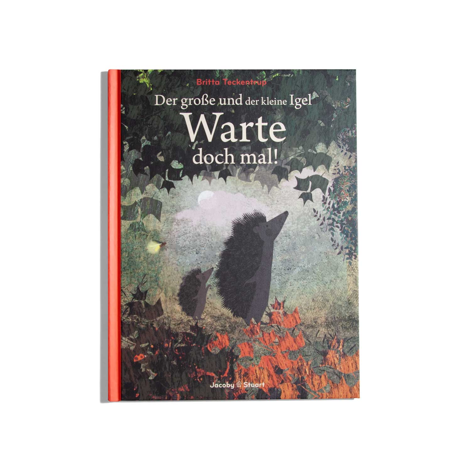 Warte Doch Mal! - Britta Teckentrup