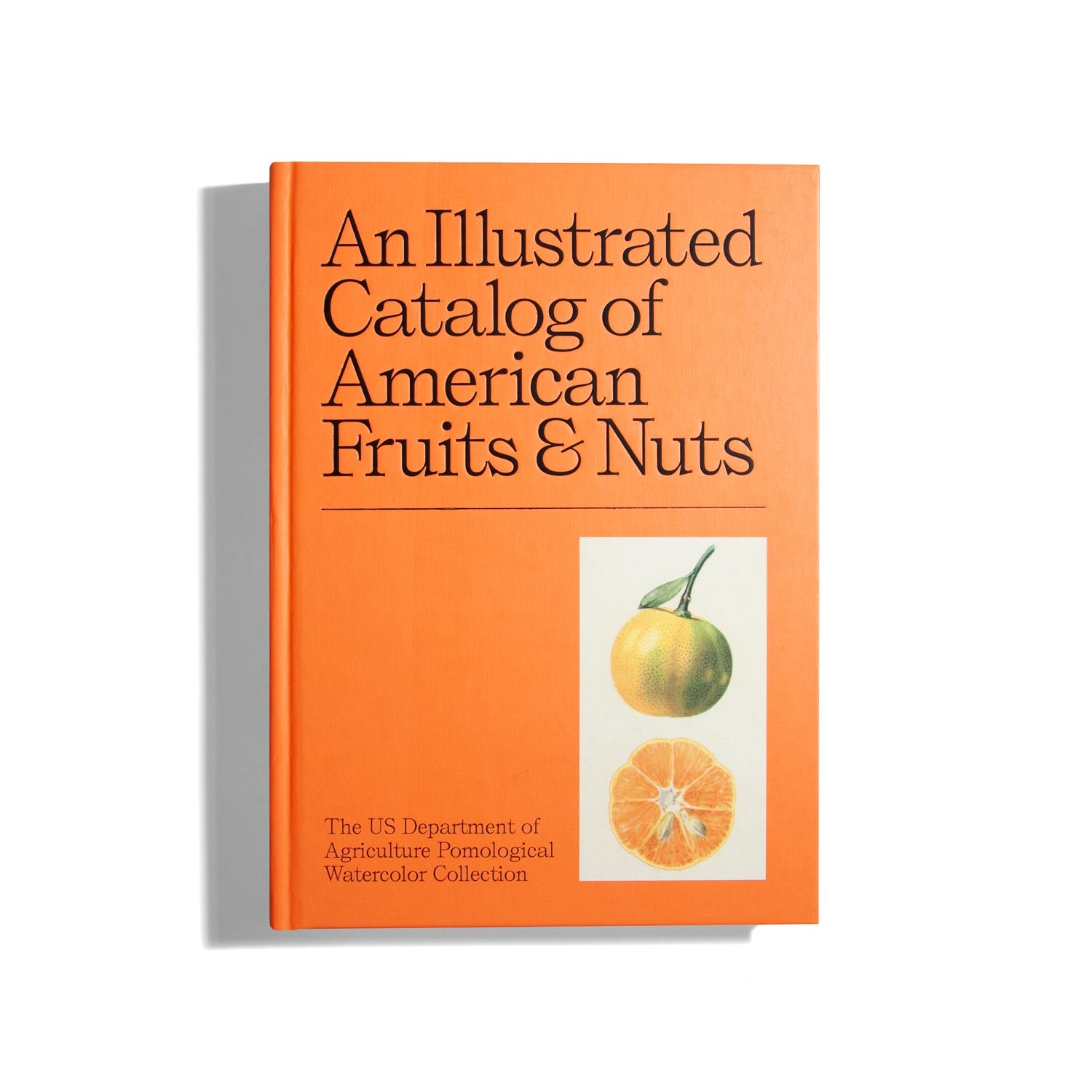 An Illustrated Catalog of American Fruits & Nuts