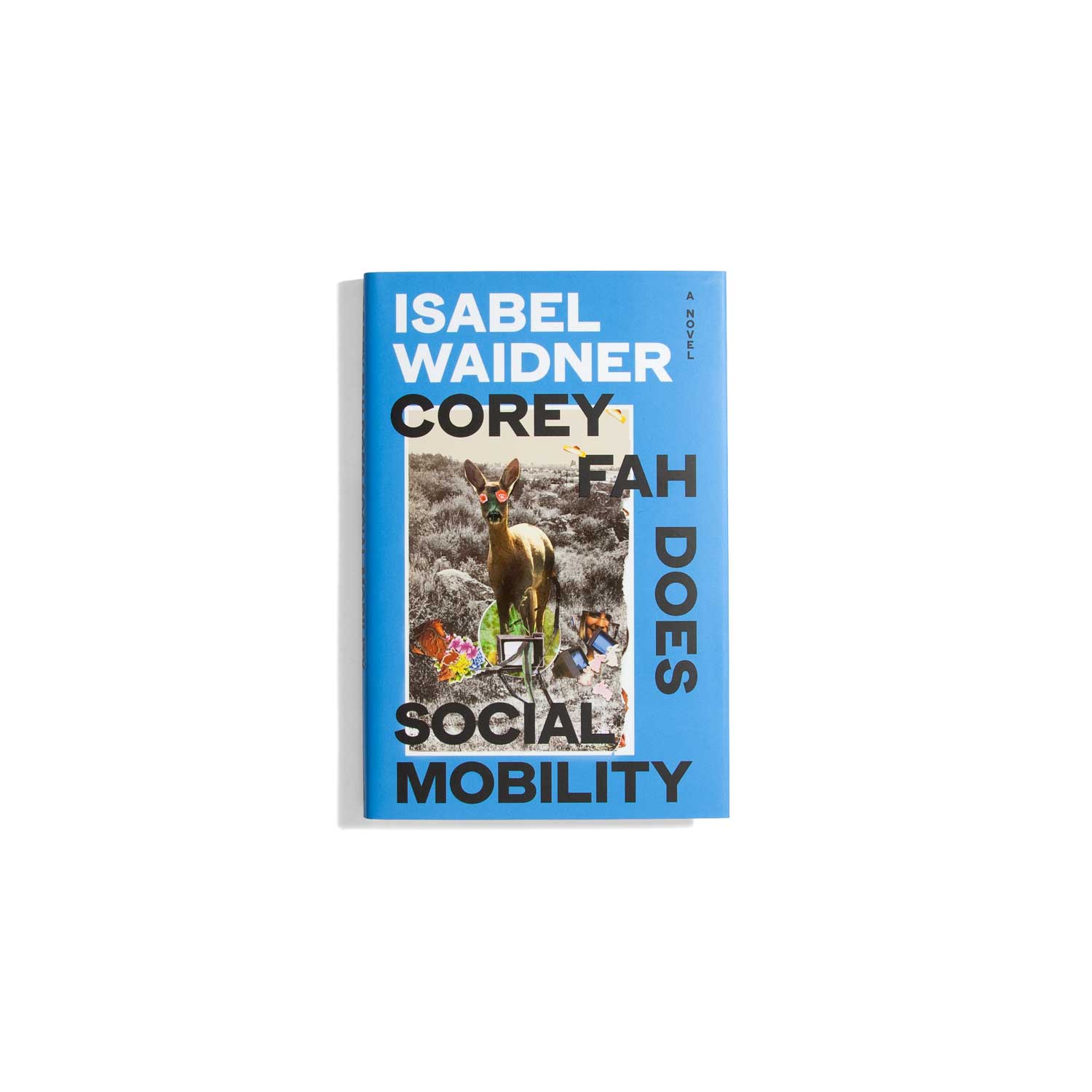 Corey Fah Does Social Mobility - Isabel Waidner