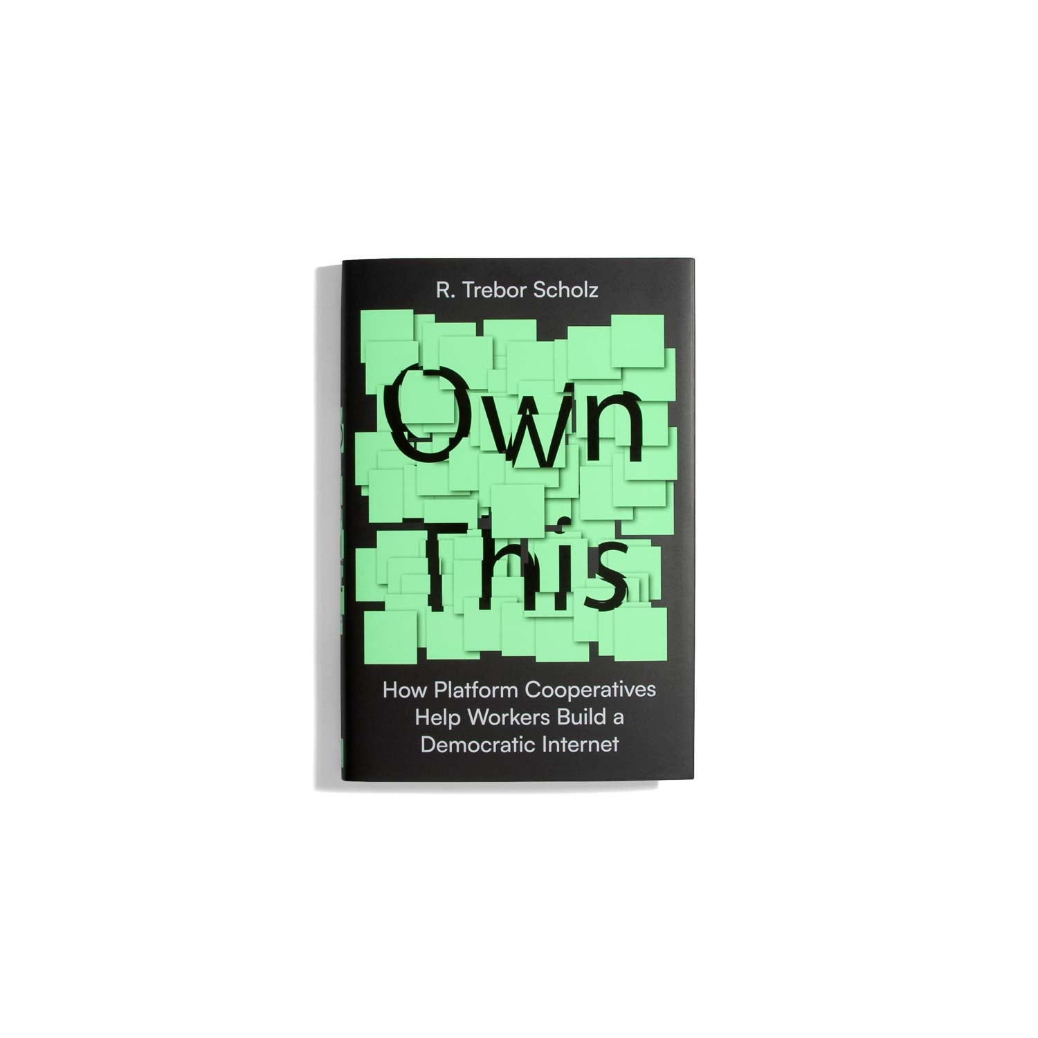 Own This - R. Trebor Scholz