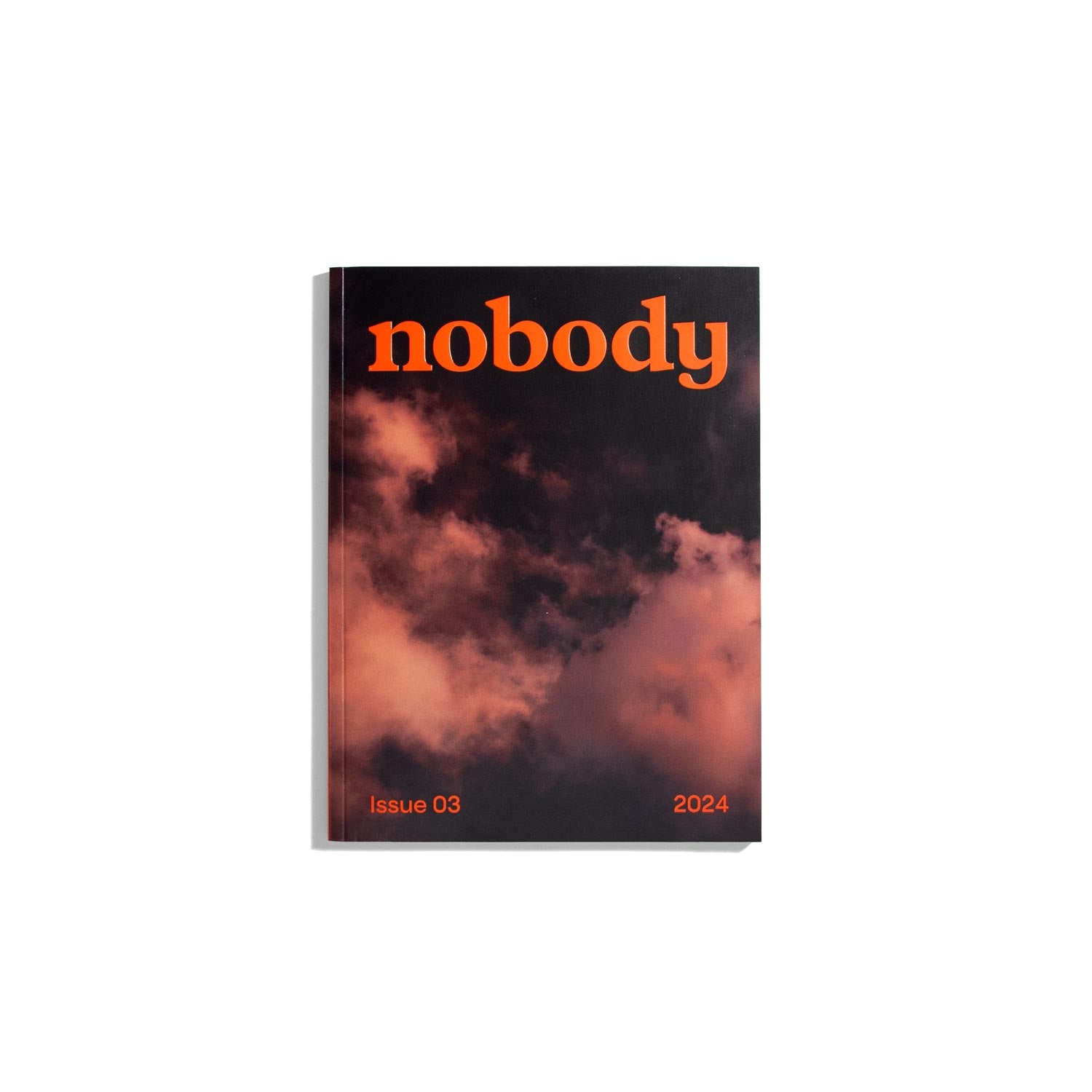 Nobody #3 2024