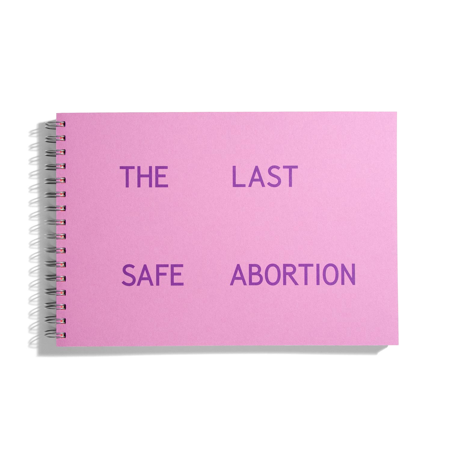 The Last Safe Abortion - Carmen Winant