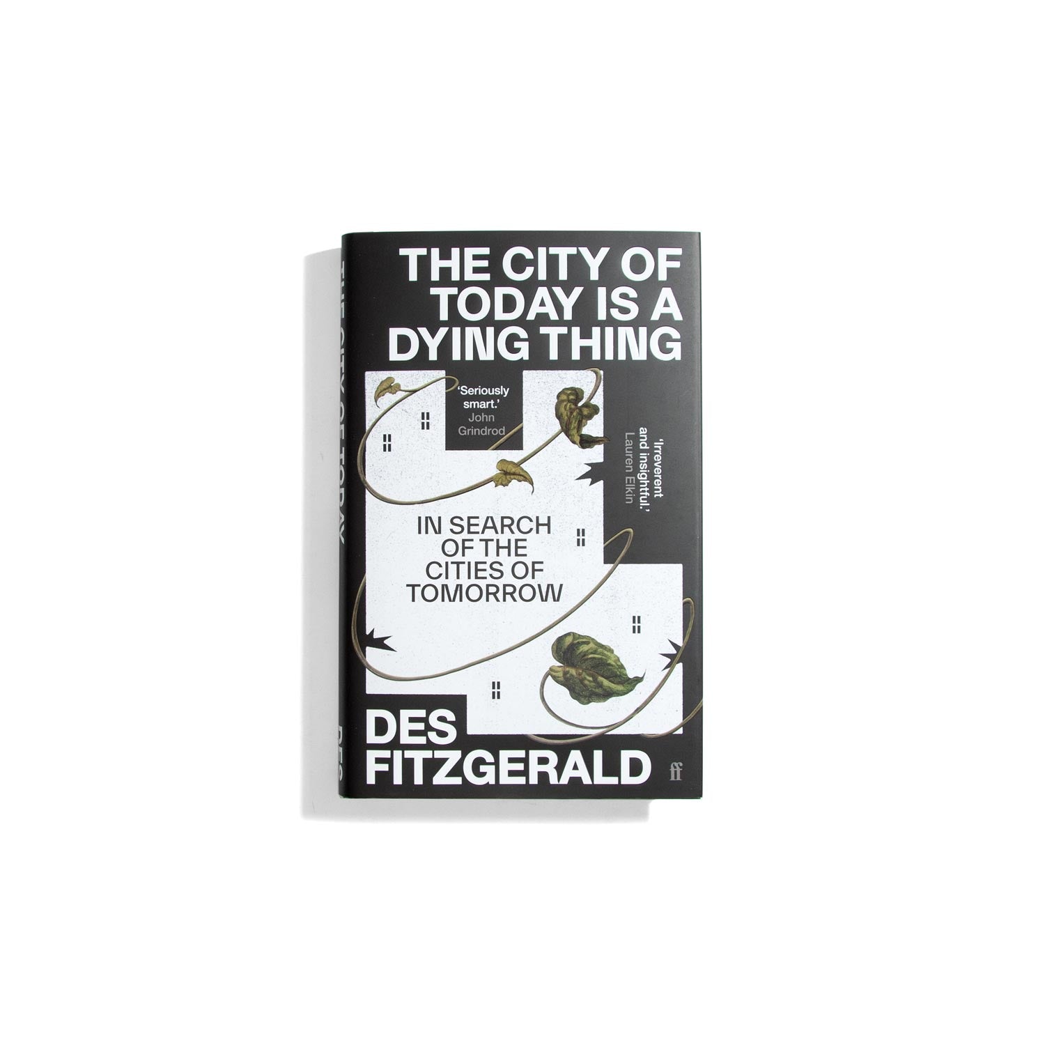 The City of Today is a Dying Thing - Des Fitzgerald