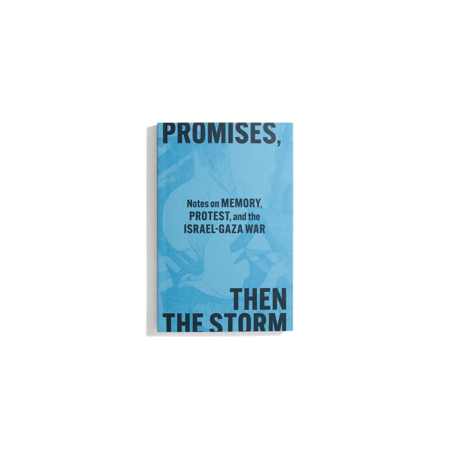 Promises, then the Storm: Notes on Memory, Protest, and the Israel-Gaza War