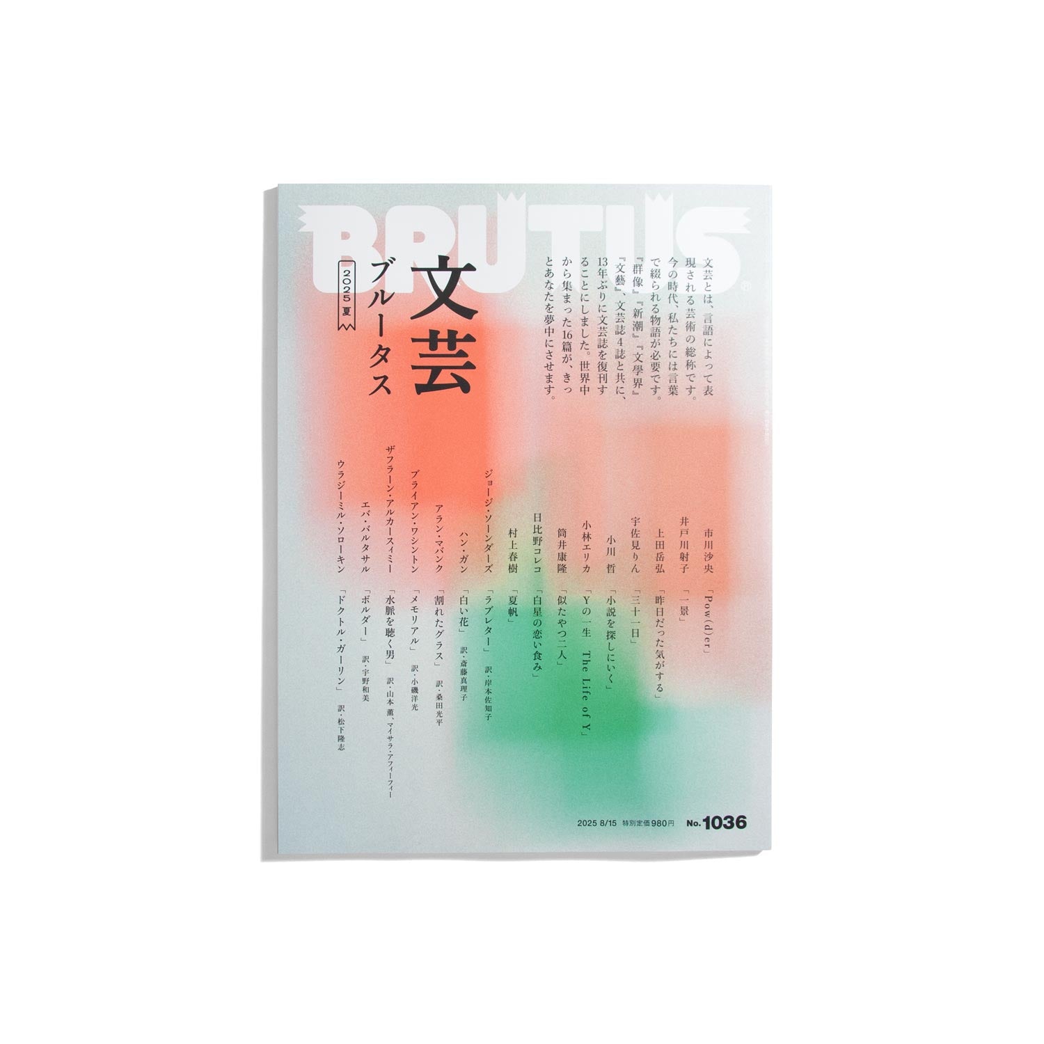 BRUTUS #1036 - Literature Special Issue