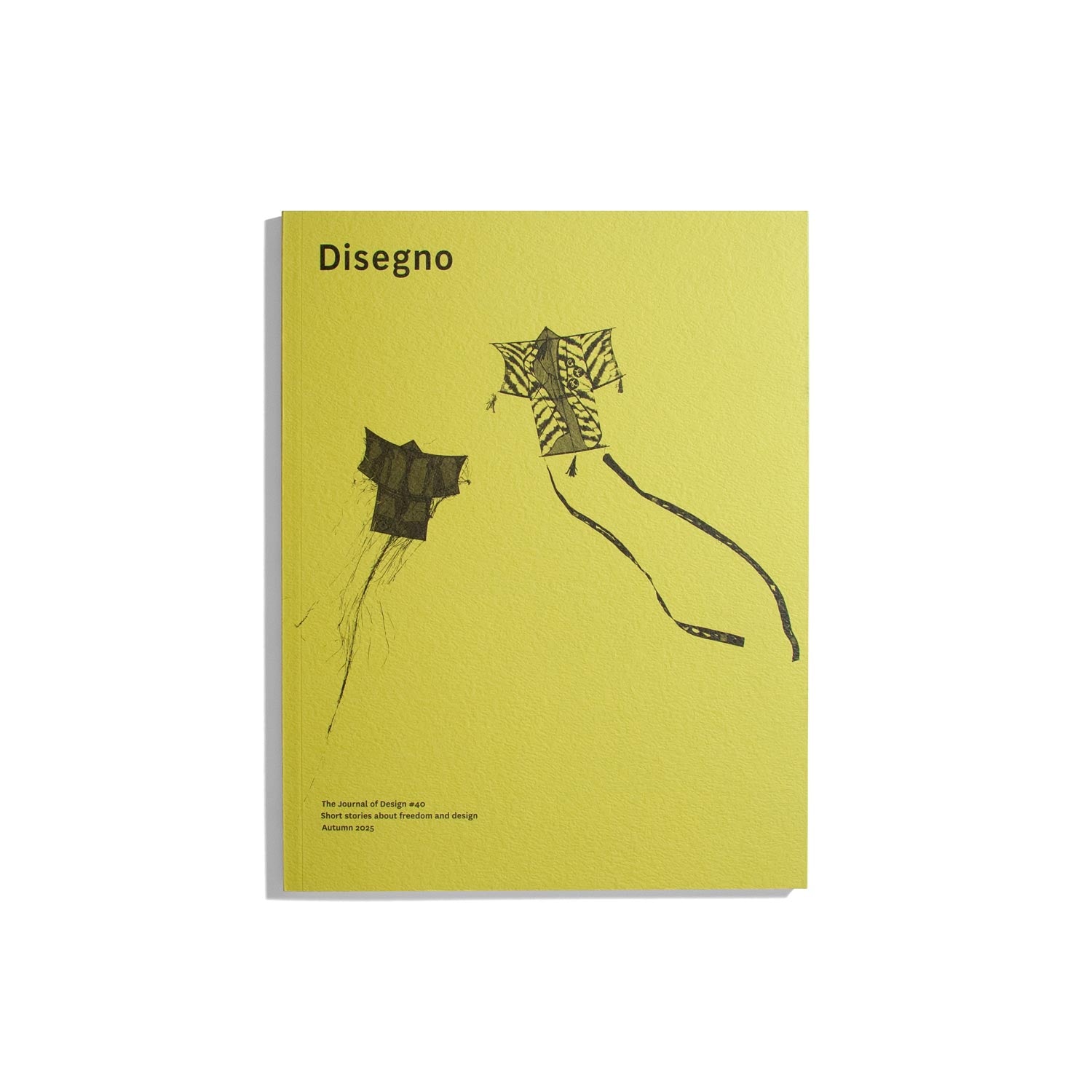 Disegno #40 2025