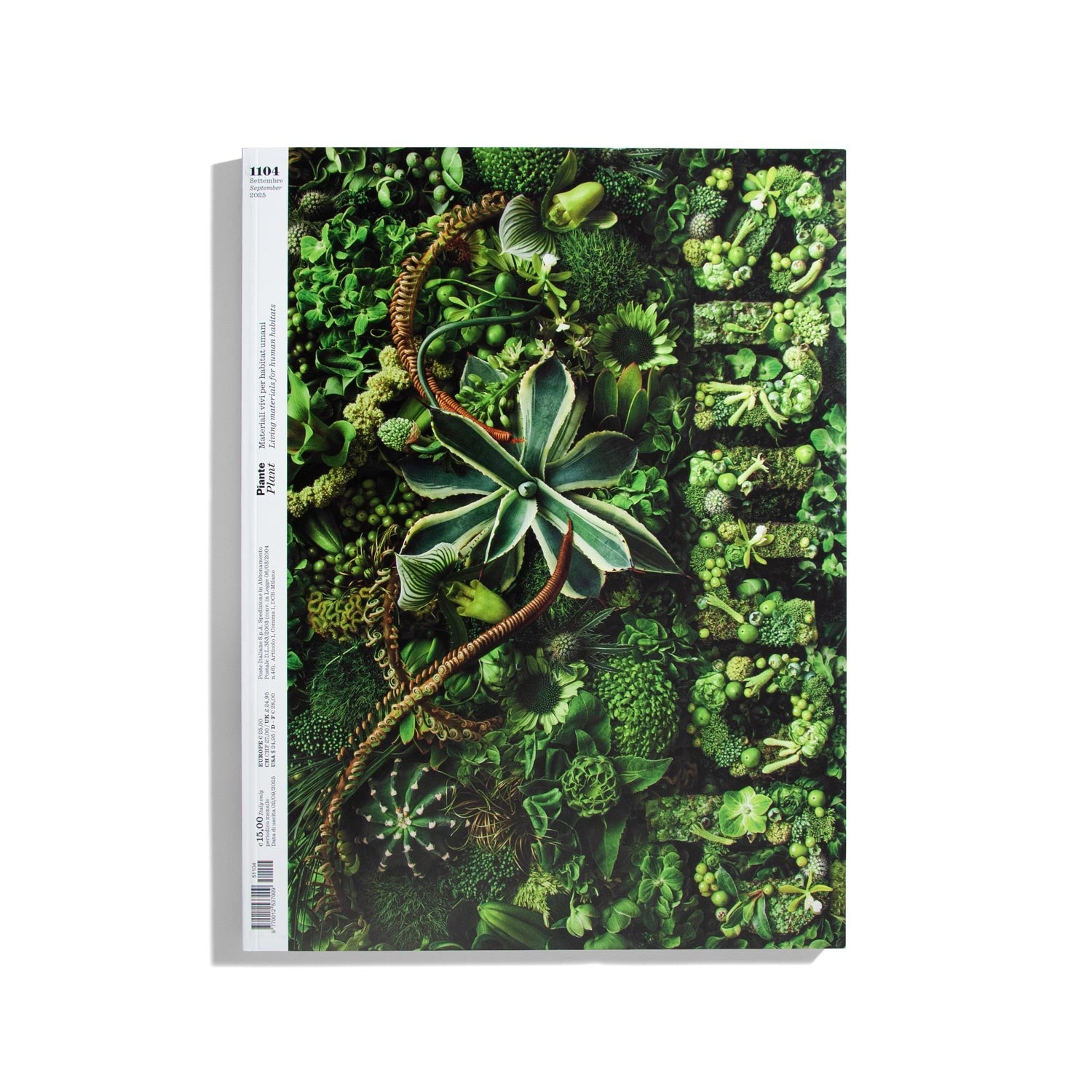 domus – do you read me?!