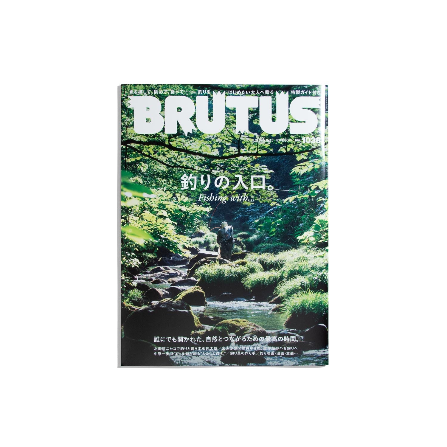 BRUTUS #1038