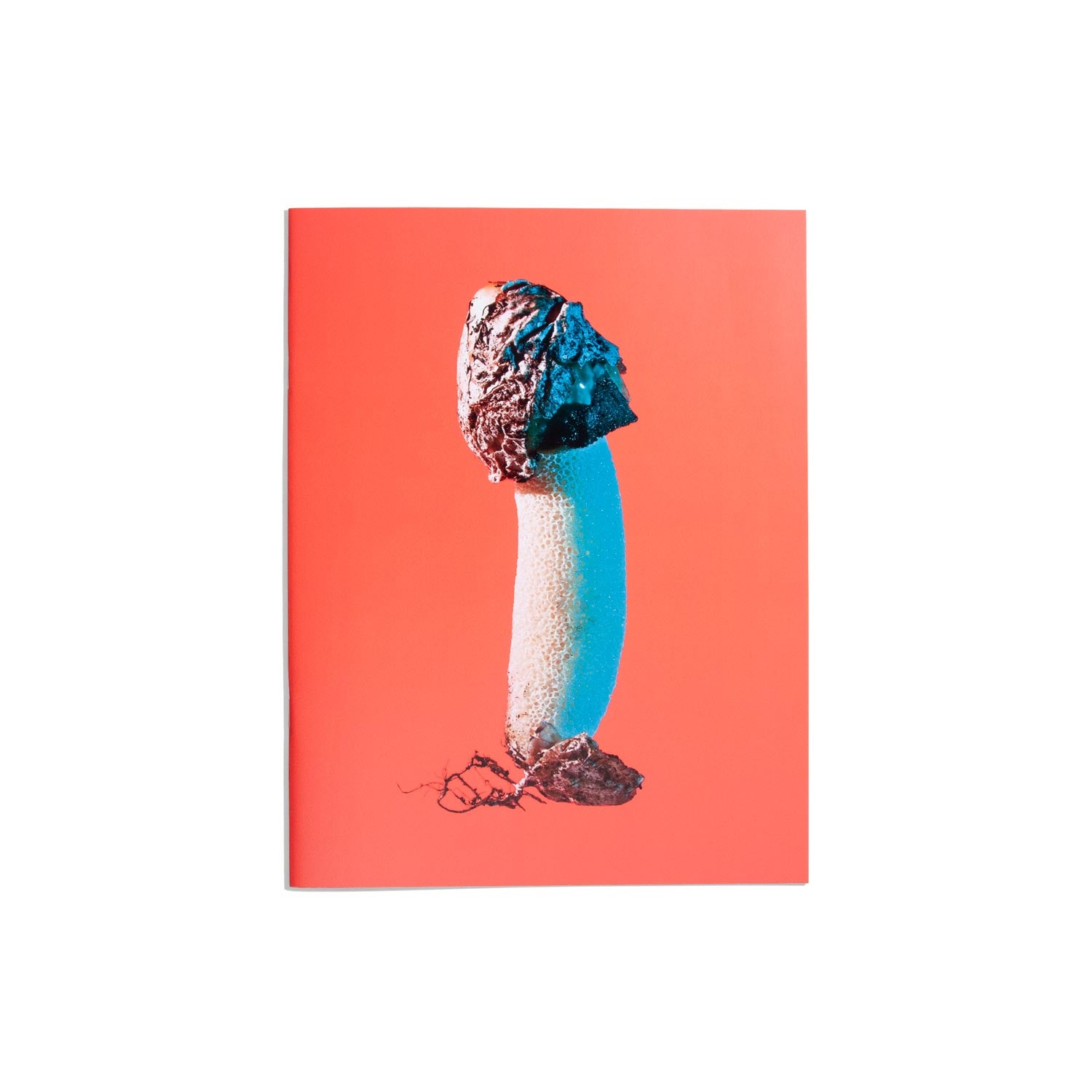 Mushrooms and Friends Zine #3