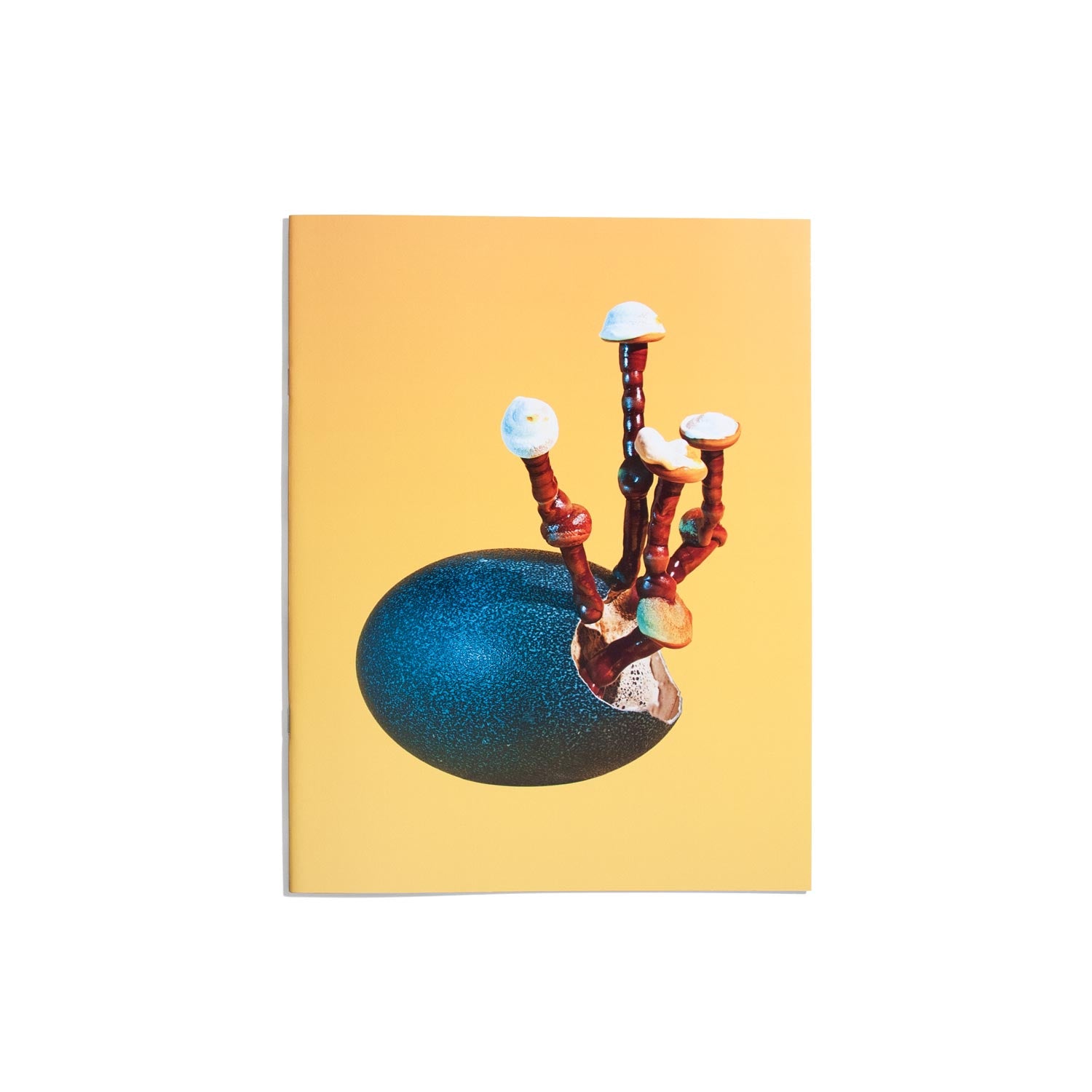 Mushrooms and Friends Zine #4