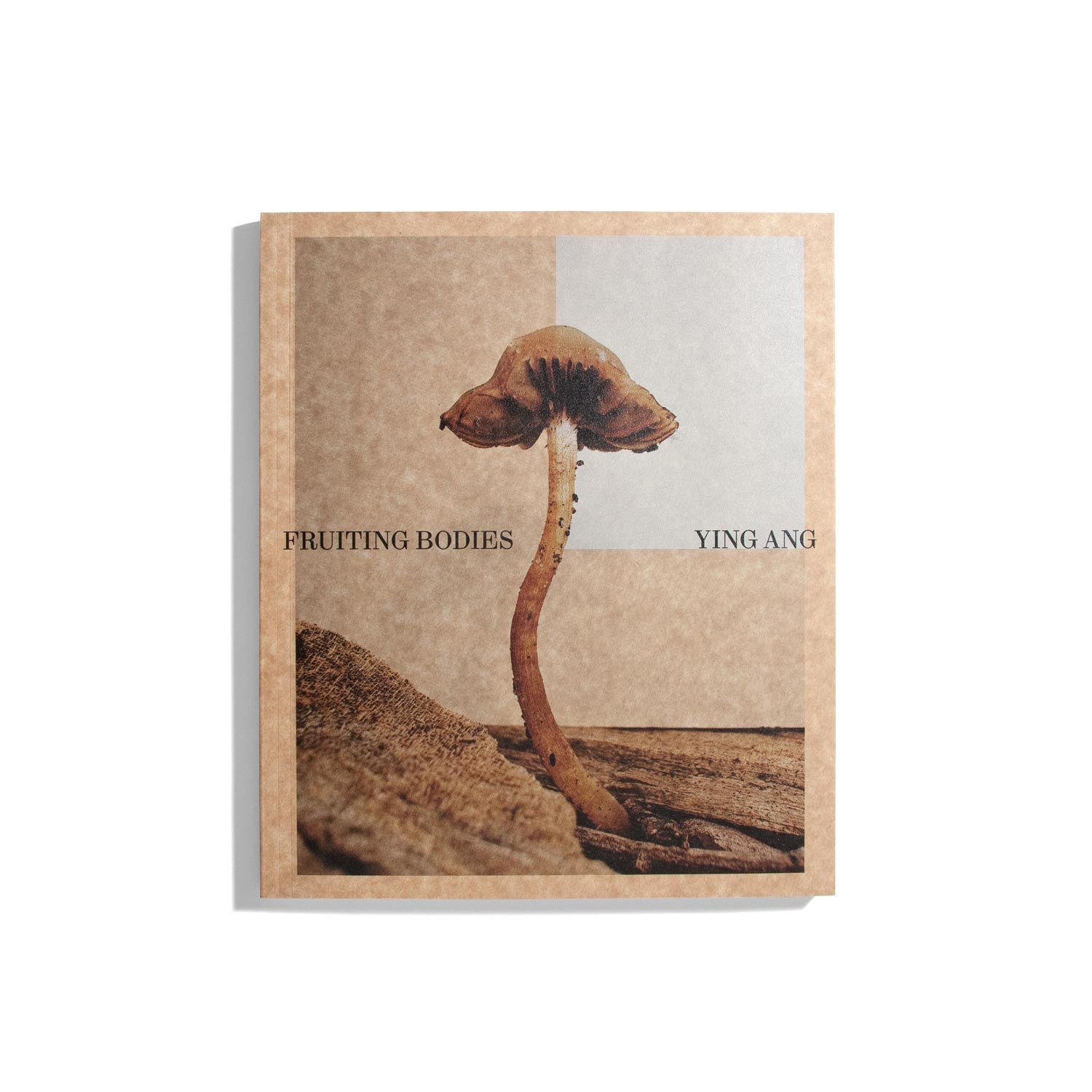 Fruiting Bodies - Ying Ang