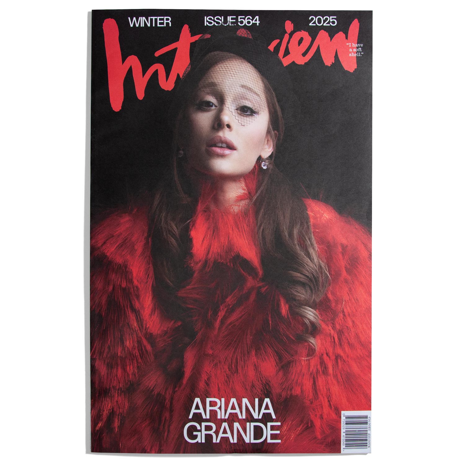 Interview USA 2025 #564