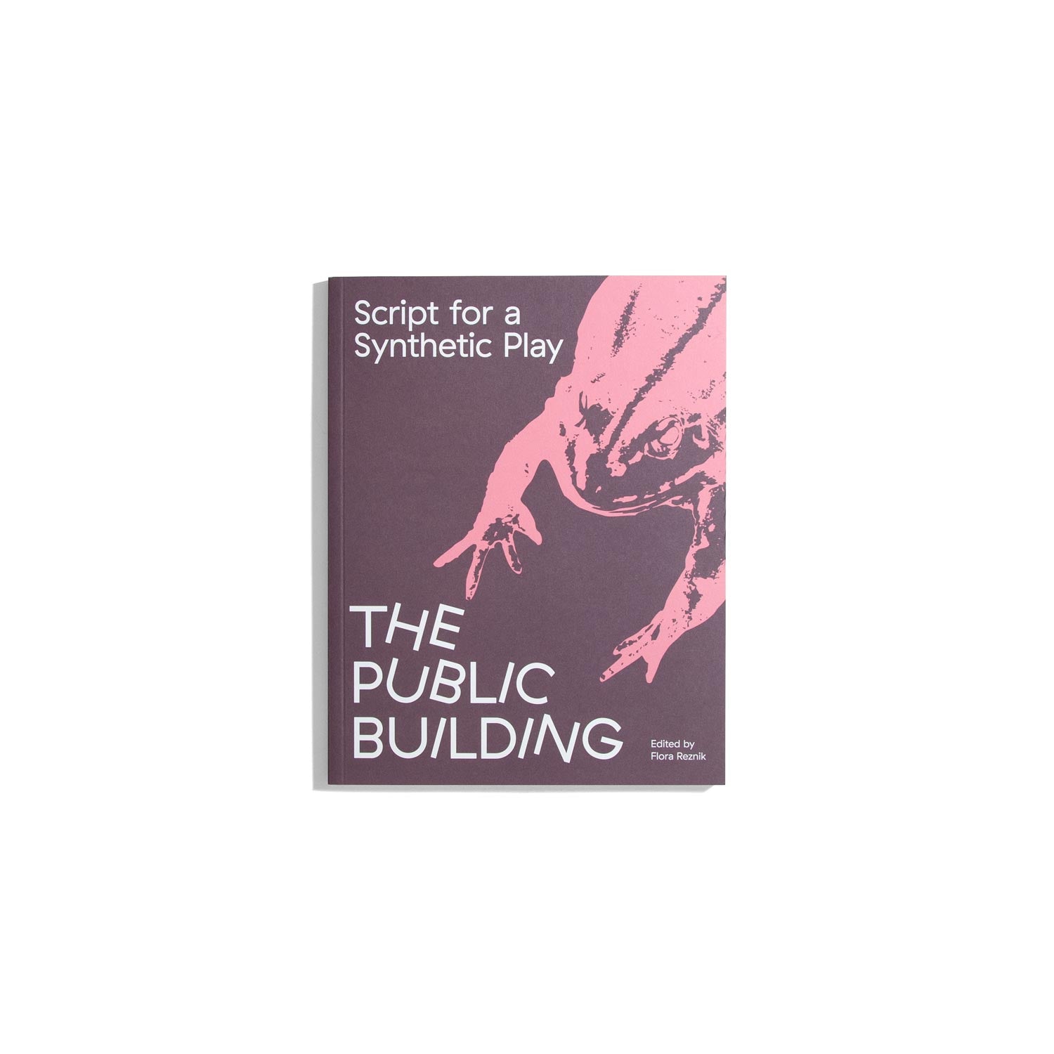 Script for a Synthetic Play: The Public Building