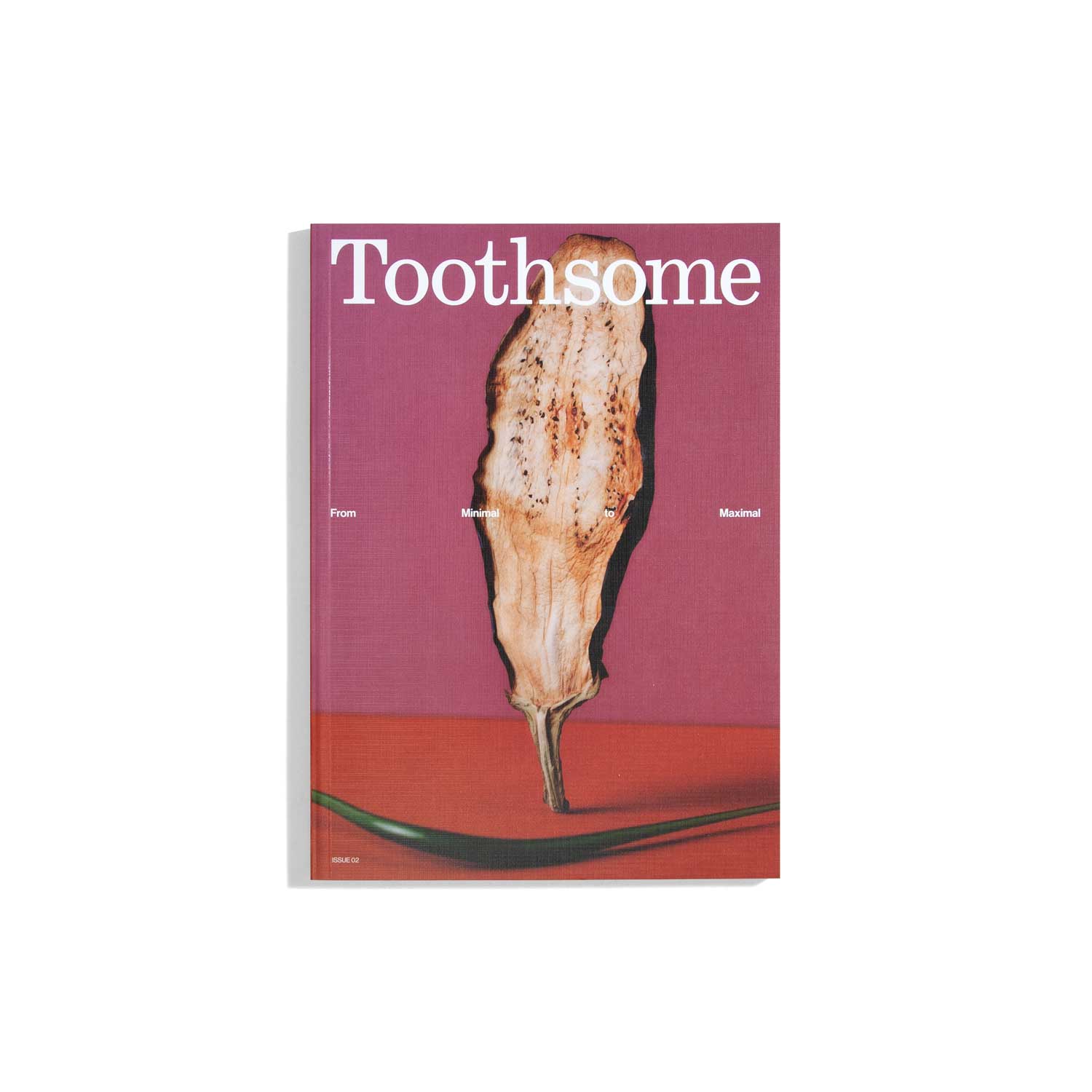 Toothsome #2 2026 - From Minimal to Maximal