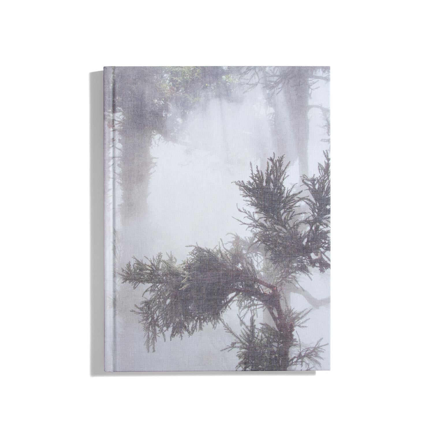 Cura’s Garden - Ben Thorp Brown