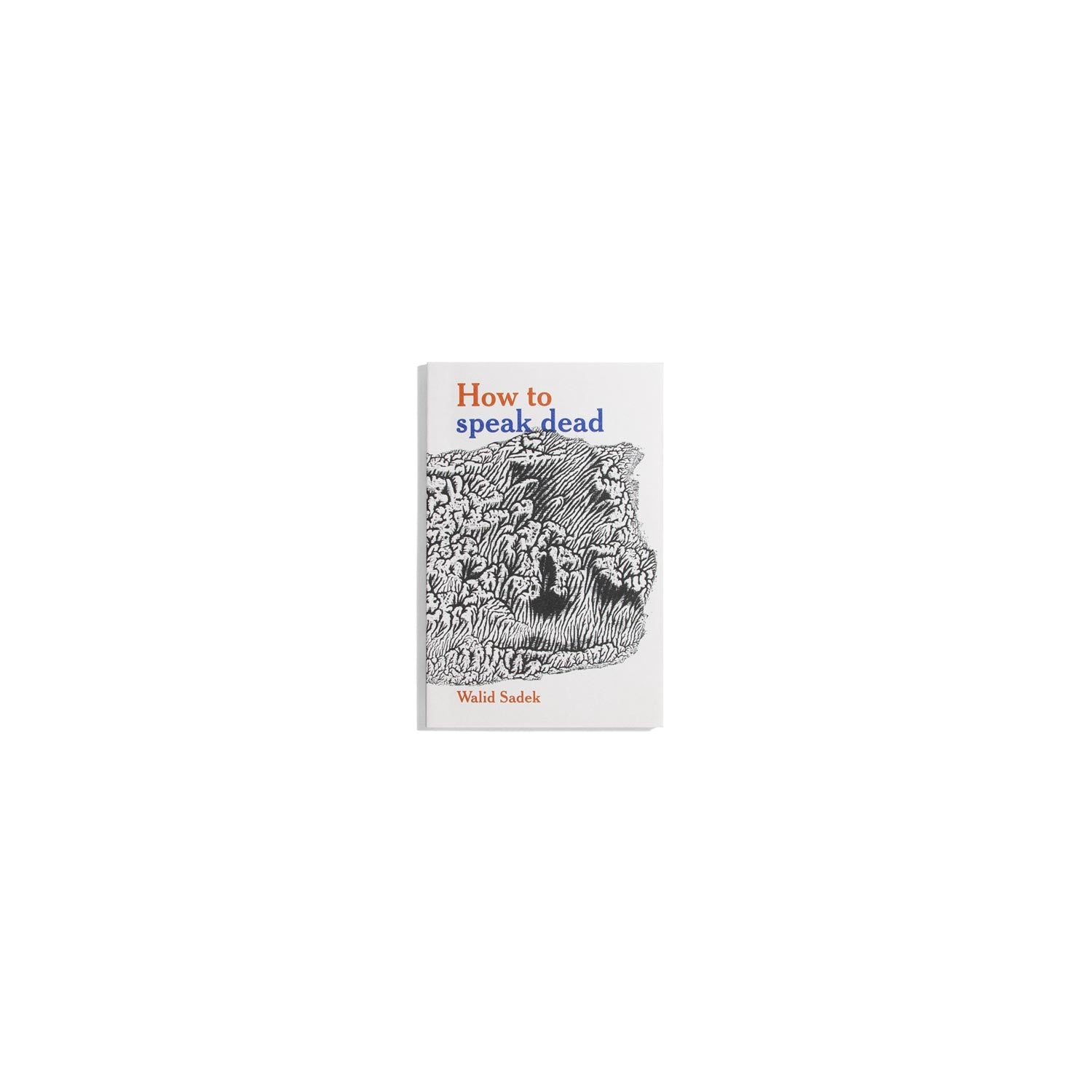 How to speak dead - Walid Sadek