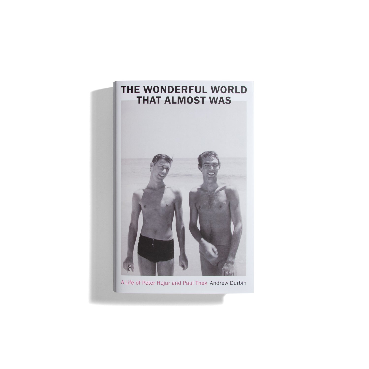 The Wonderful World that Almost Was: A Life of Peter Hujar and Paul Thek