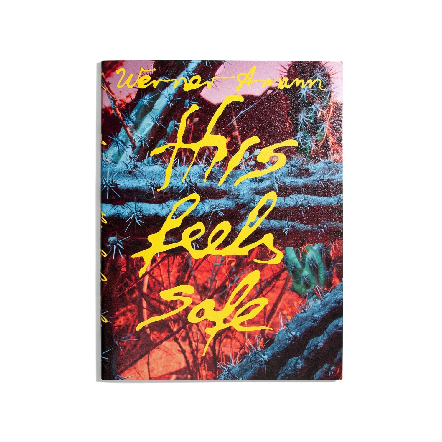 This Feels Safe - Werner Amann