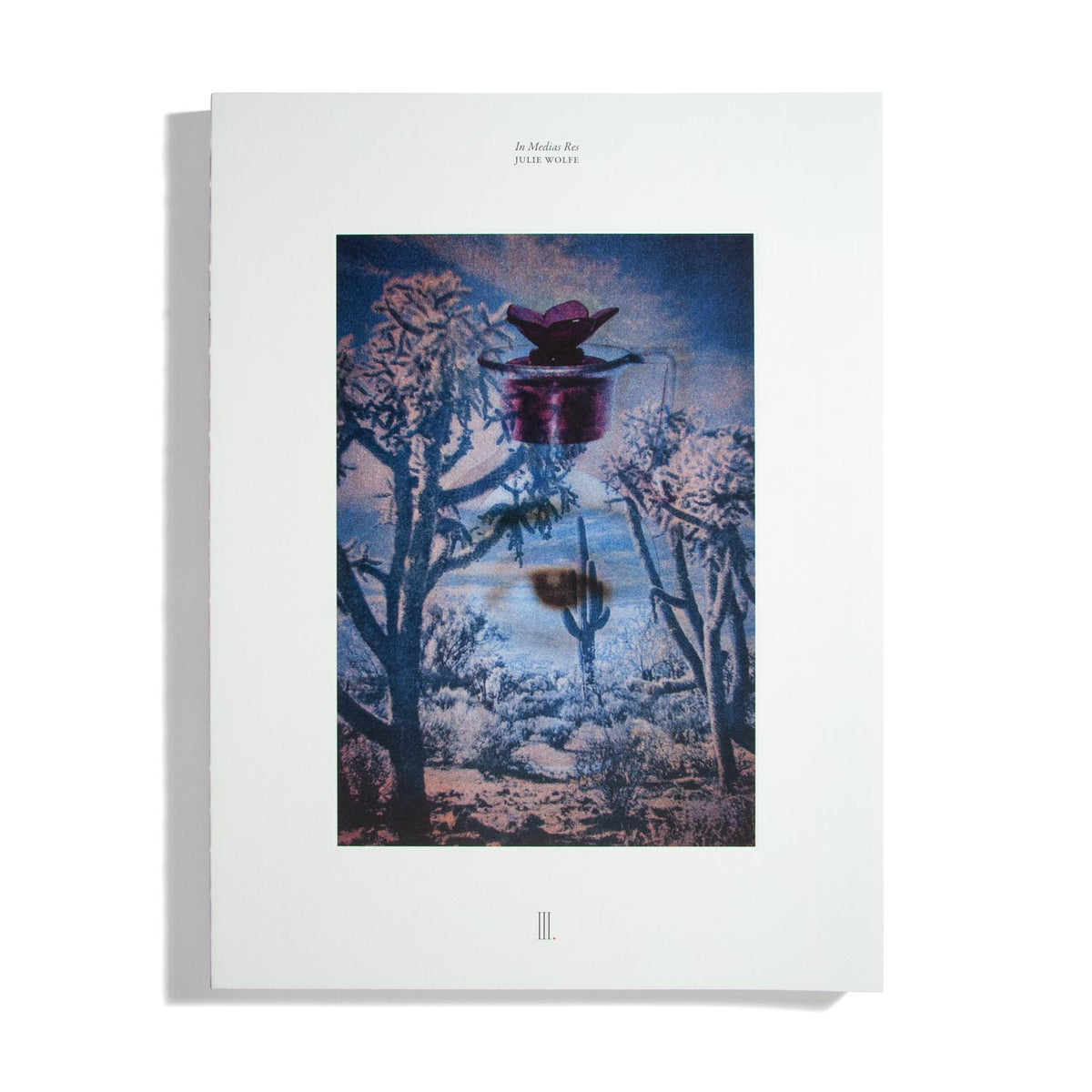 Apophenia Vol. 3 In Medias Res - Julie Wolfe