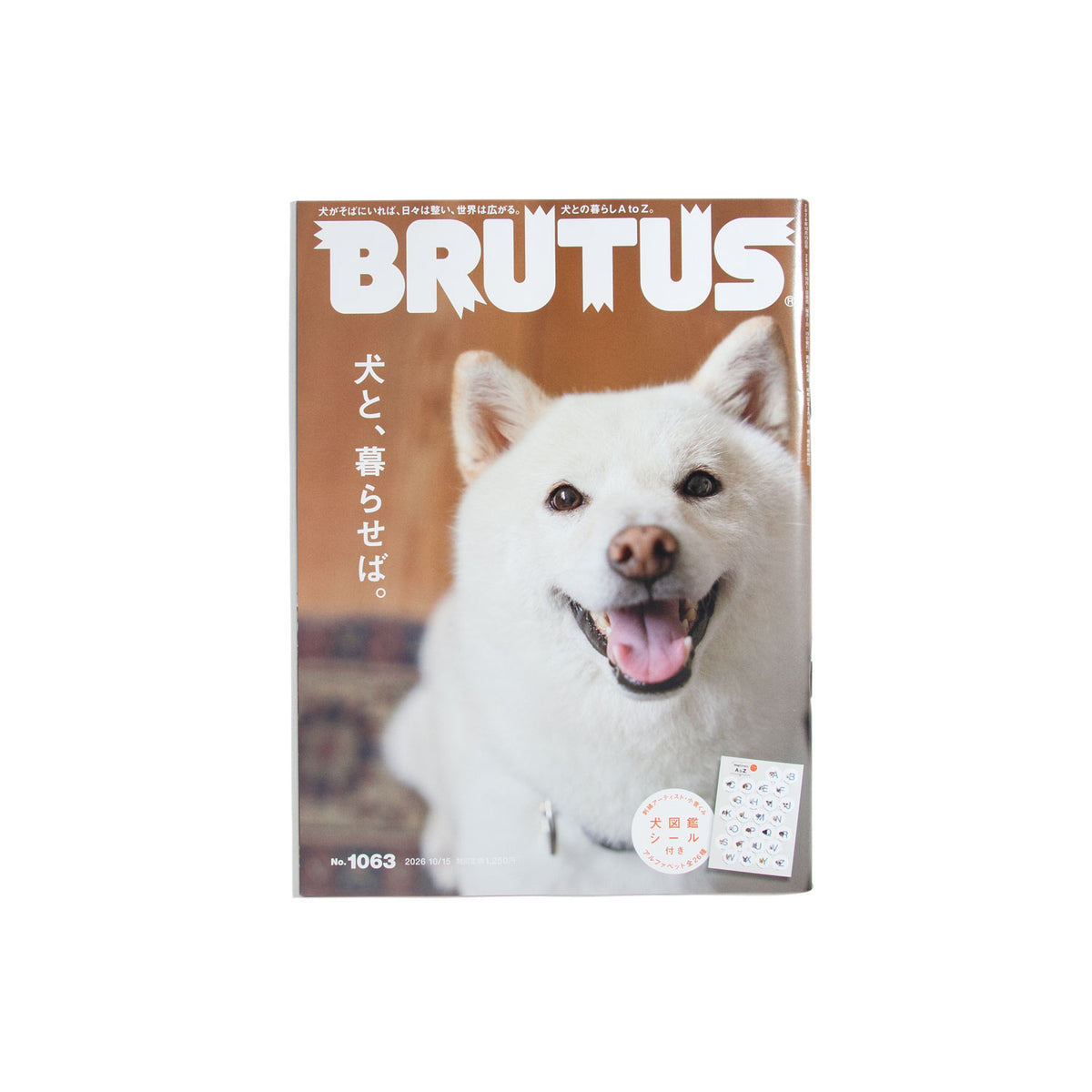 BRUTUS #1063 2026