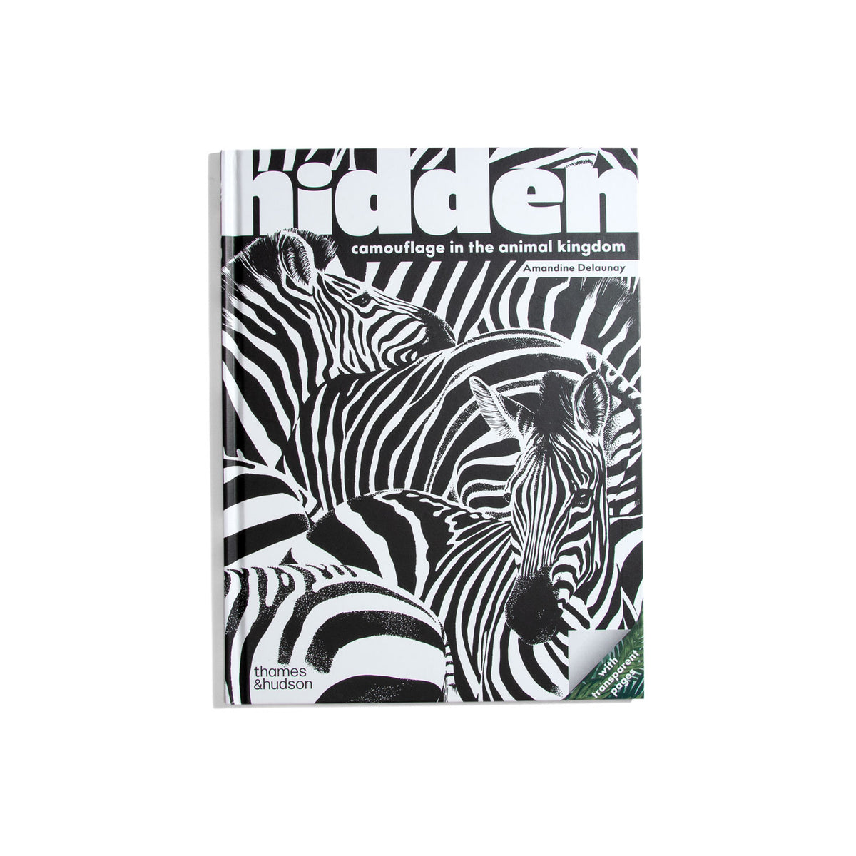 Hidden: Camouflage in the Animal Kingdom