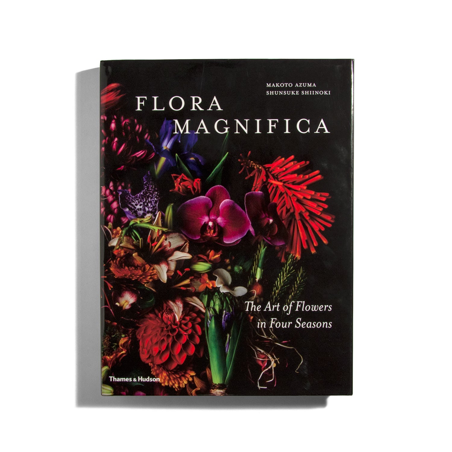 Flora Magnifica