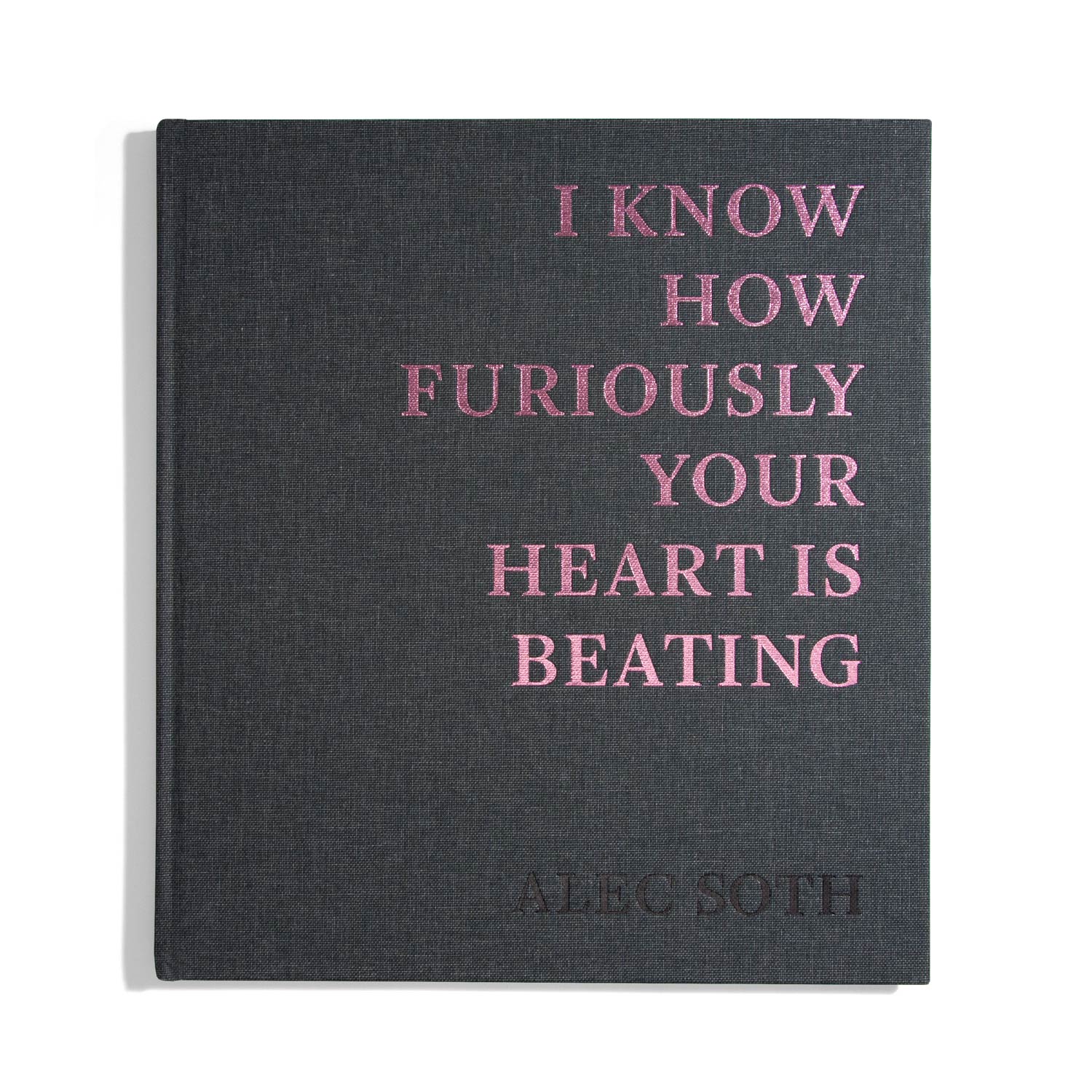 I Know How Furiously Your Heart is beating -  Alec Soth