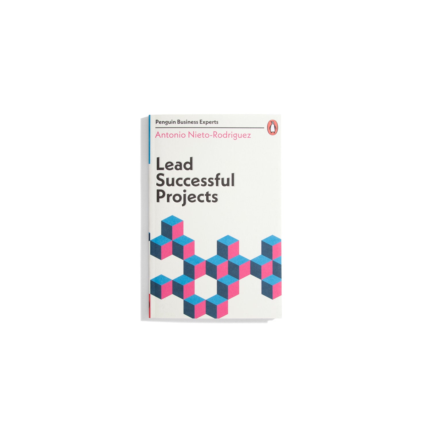 Lead Successful Projects - Antonio Nieto-Rodriguez (Penguin Business Experts)