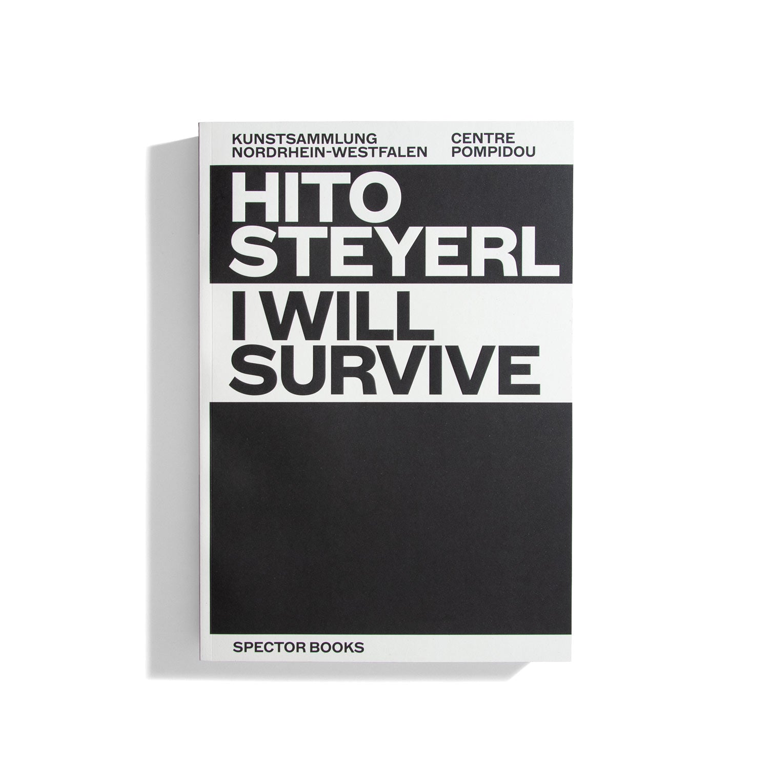 I will survive - Hito Steyerl