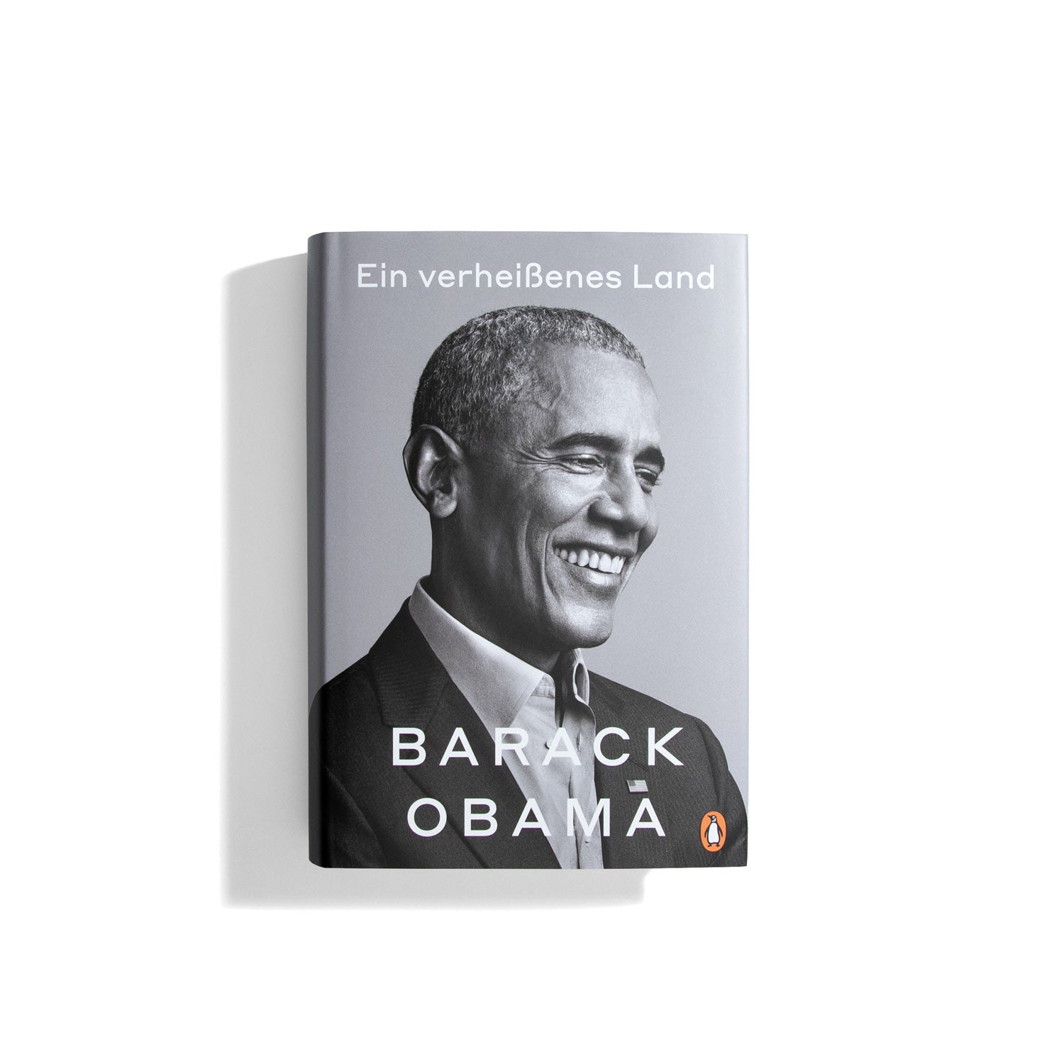 Ein verheißenes Land - Barack Obama