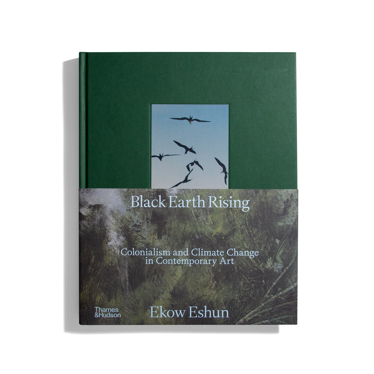 Black Earth Rising - Ekow Eshun