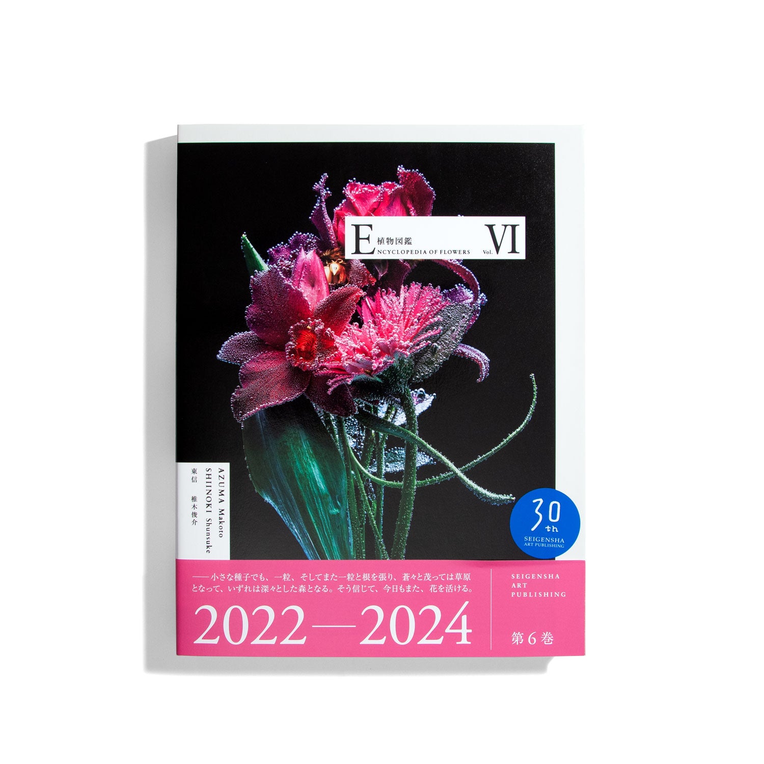 Encyclopedia of Flowers VI