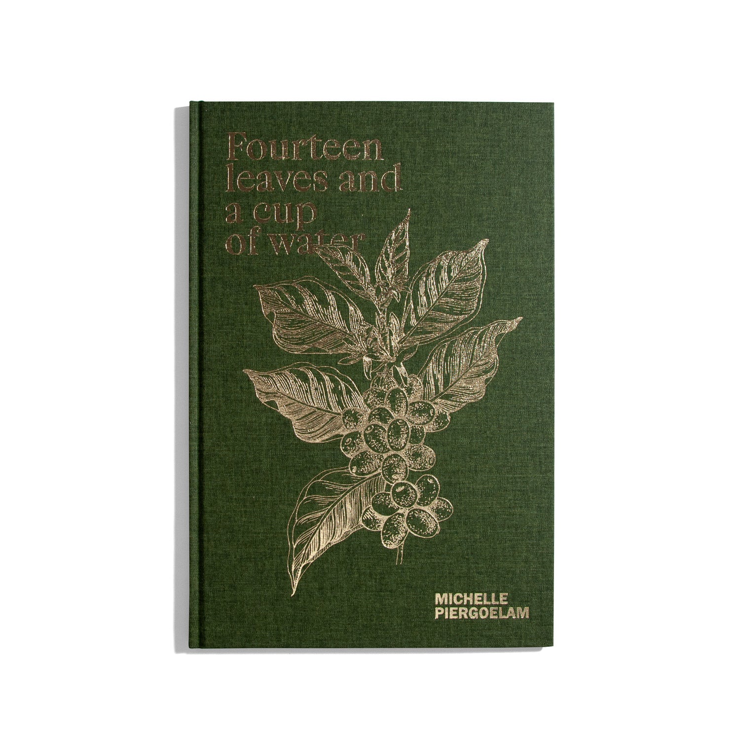 Fourteen leaves and a cup of water - Michelle Piergoelam