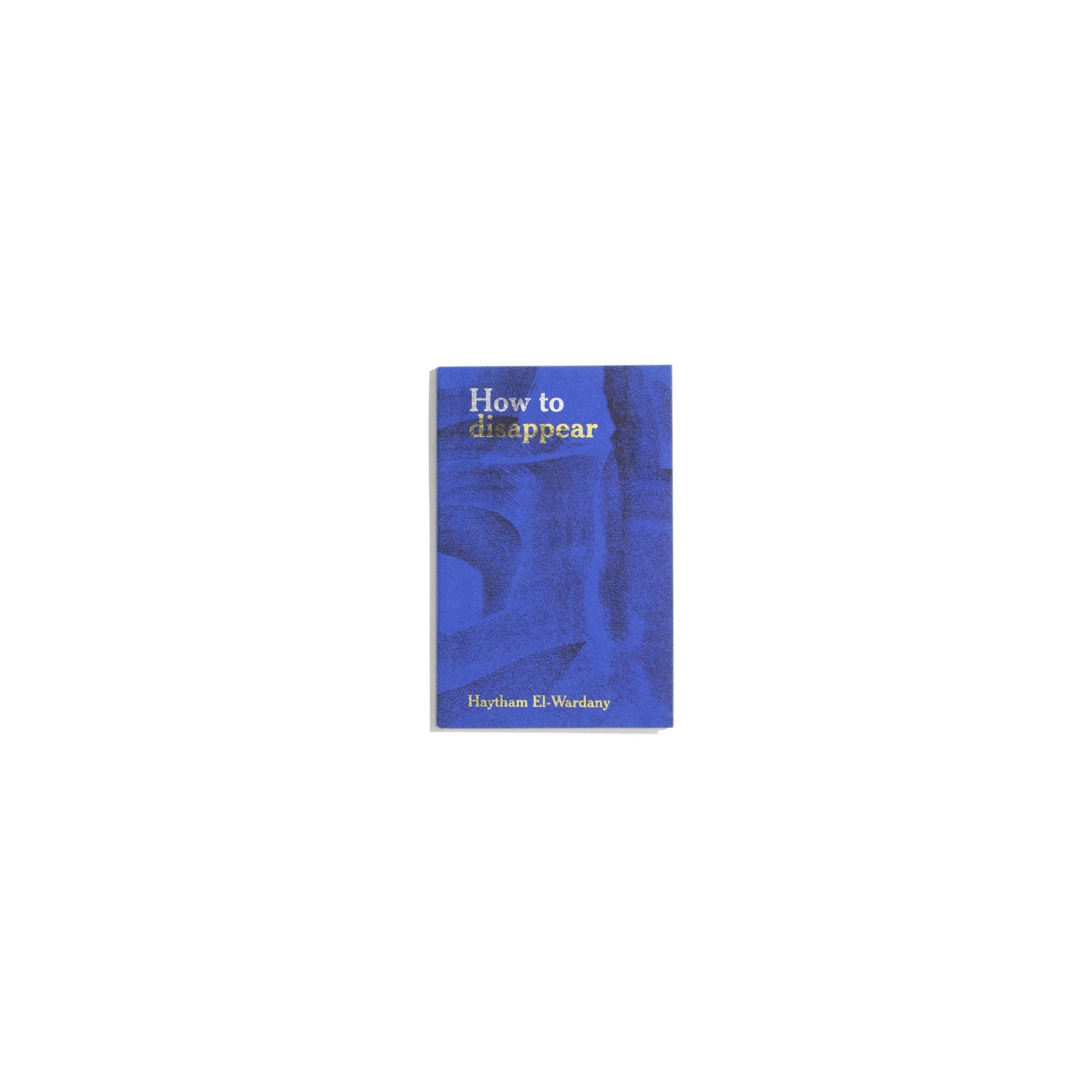 How to disappear - Haytham el-Wardany