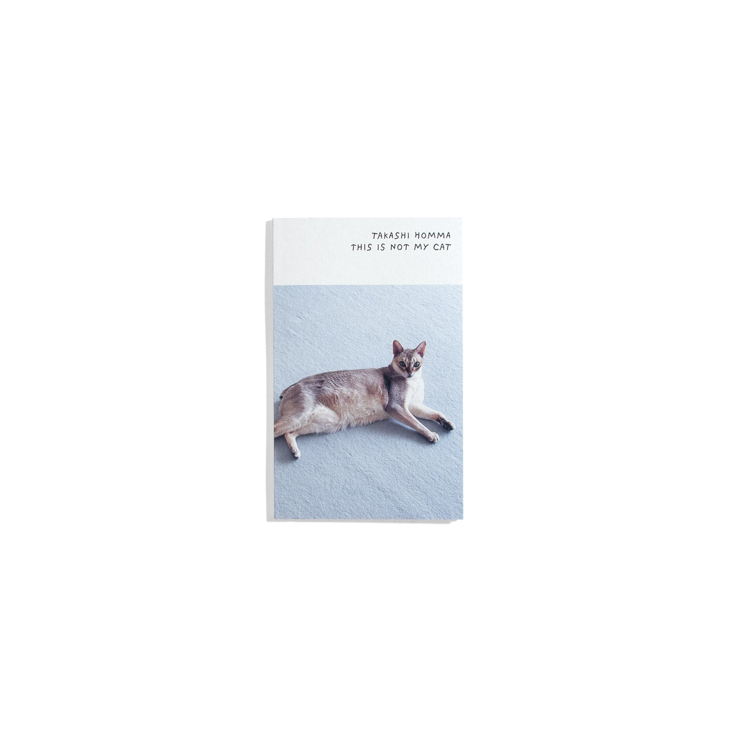 This Is Not My Cat - Takashi Homma
