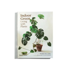 Indoor green living with plants
