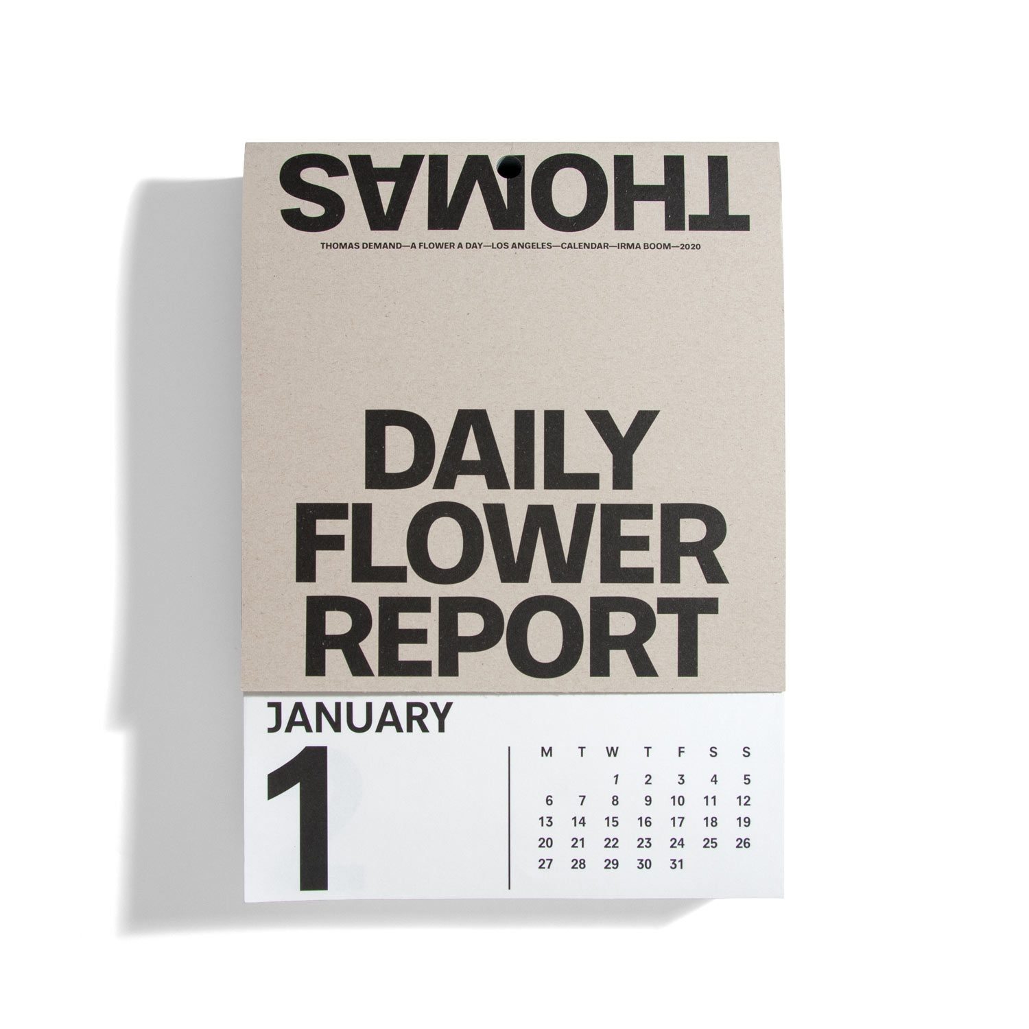 Daily Flower Report - Thomas Demand
